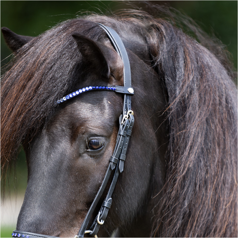 Stirnband DELIGHT schwarz/marine