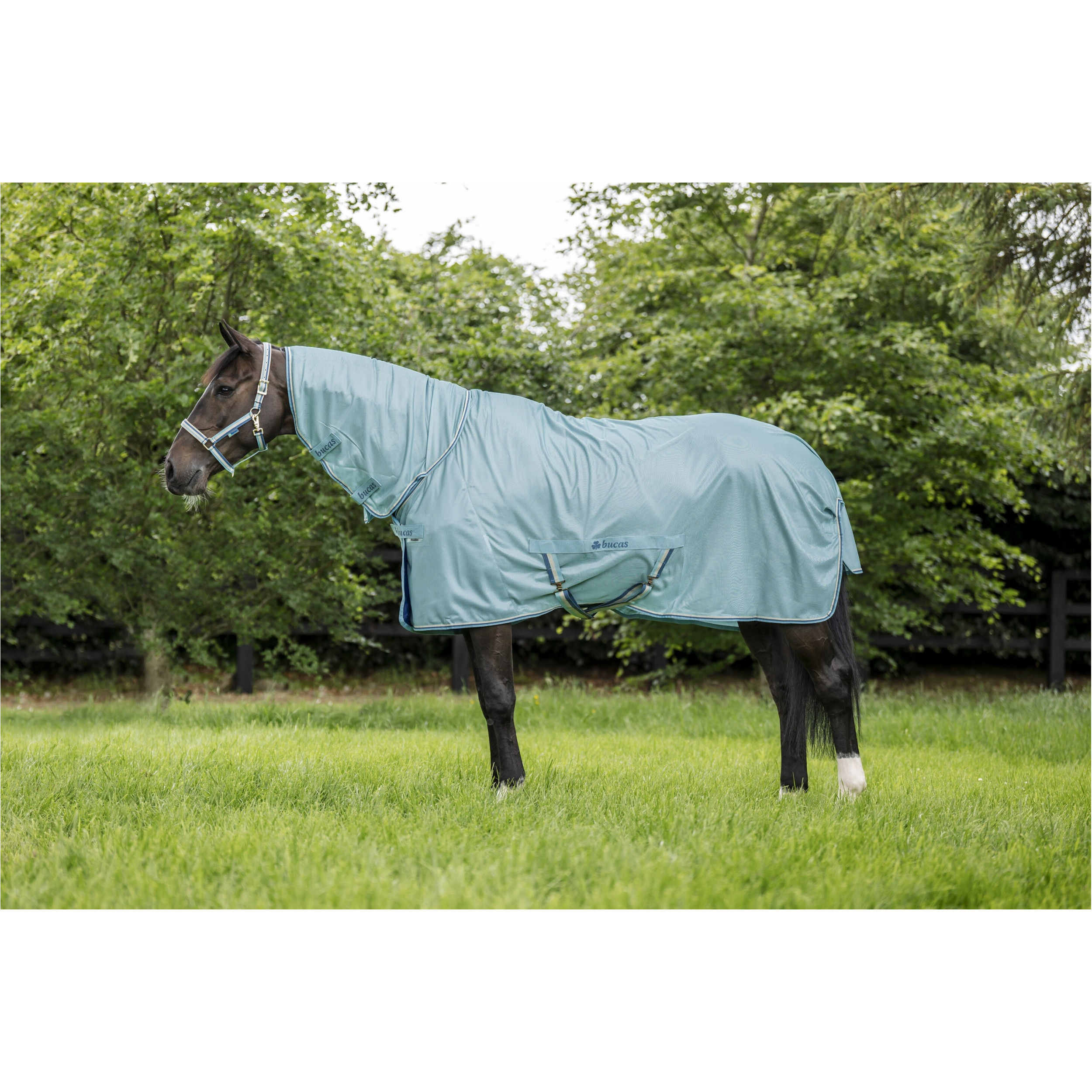 Fliegendecke FREEDOM türkis