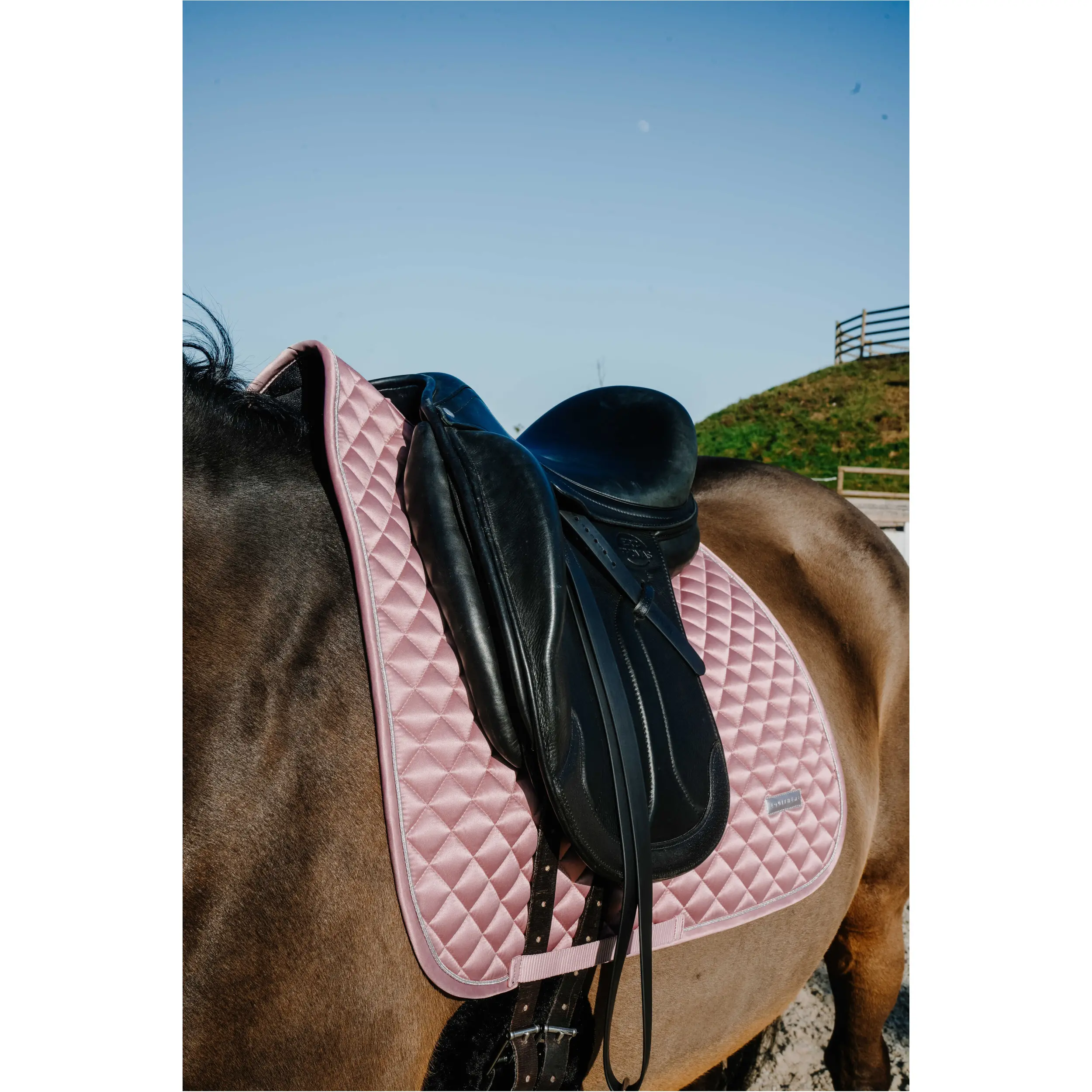 Dressurschabracke NACRE rosa Warmblut