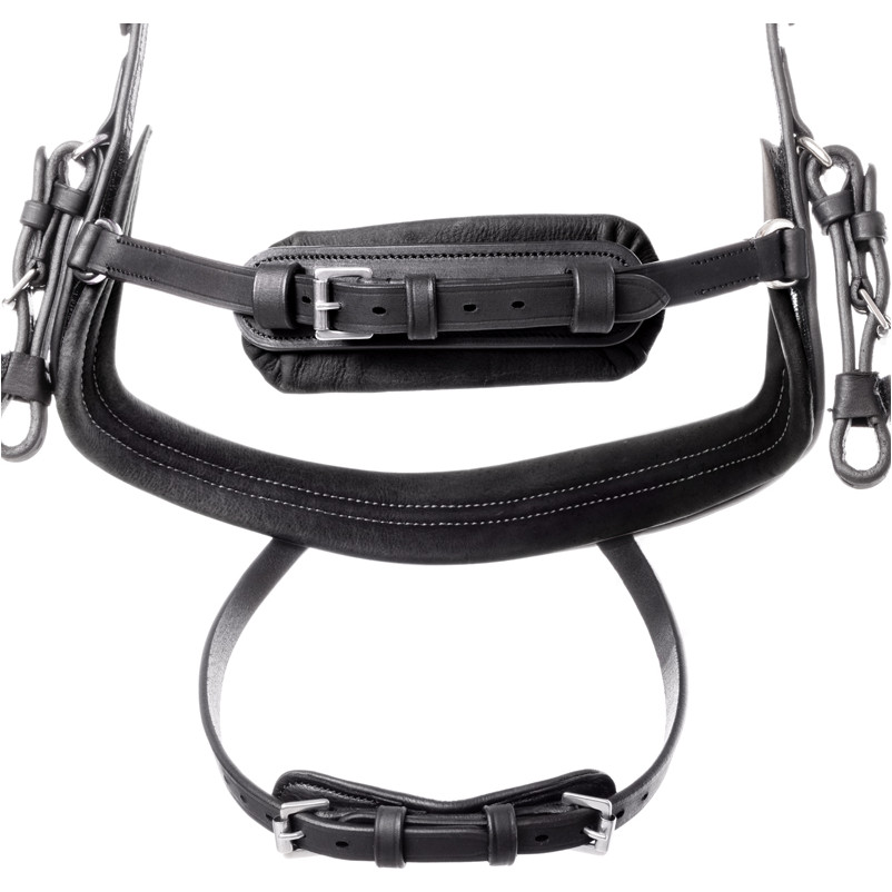 Trensenzaum englisch kombiniert CALIANO CERRA Leder geölt schwarz/silber