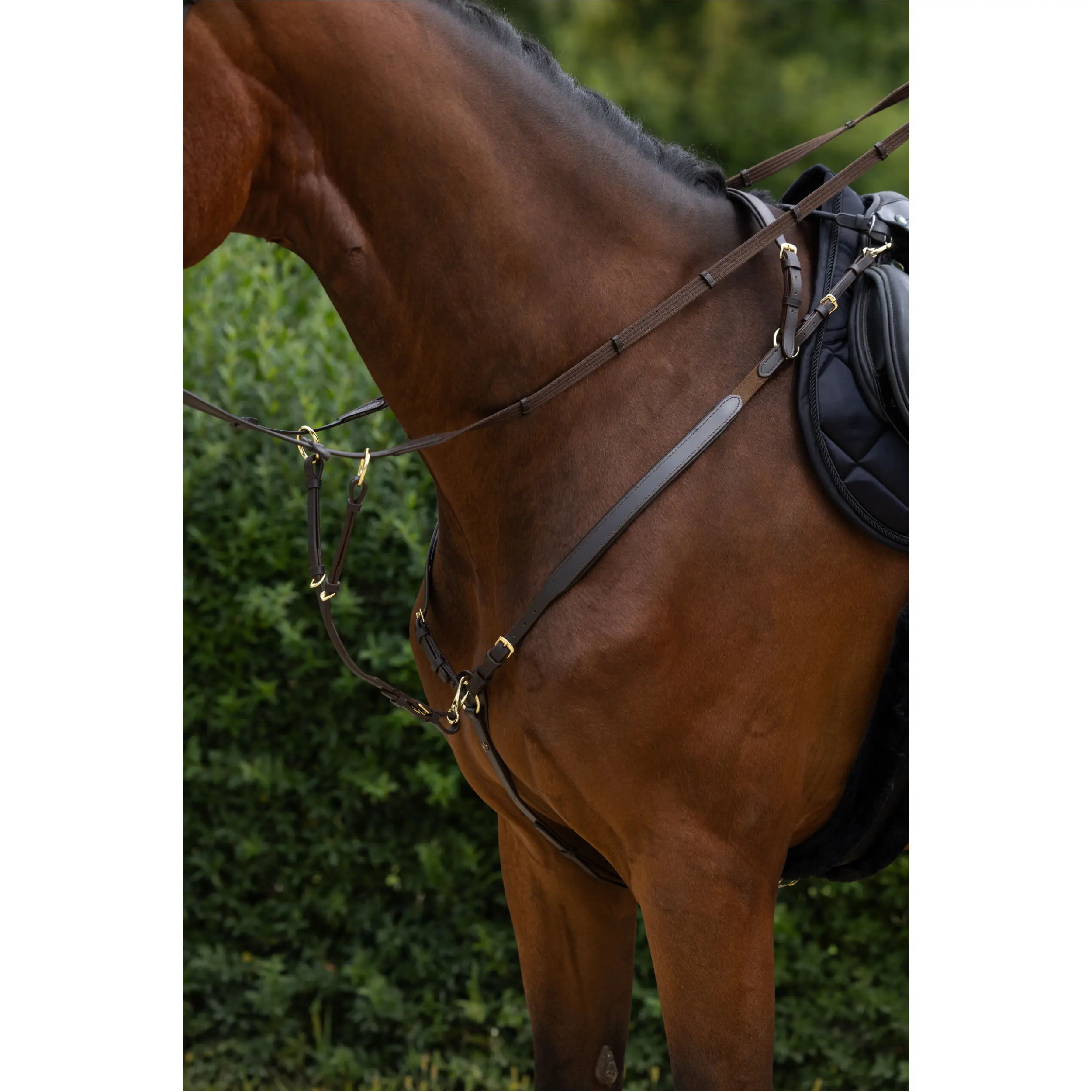 Vorderzeug braun Vorderzeug braun