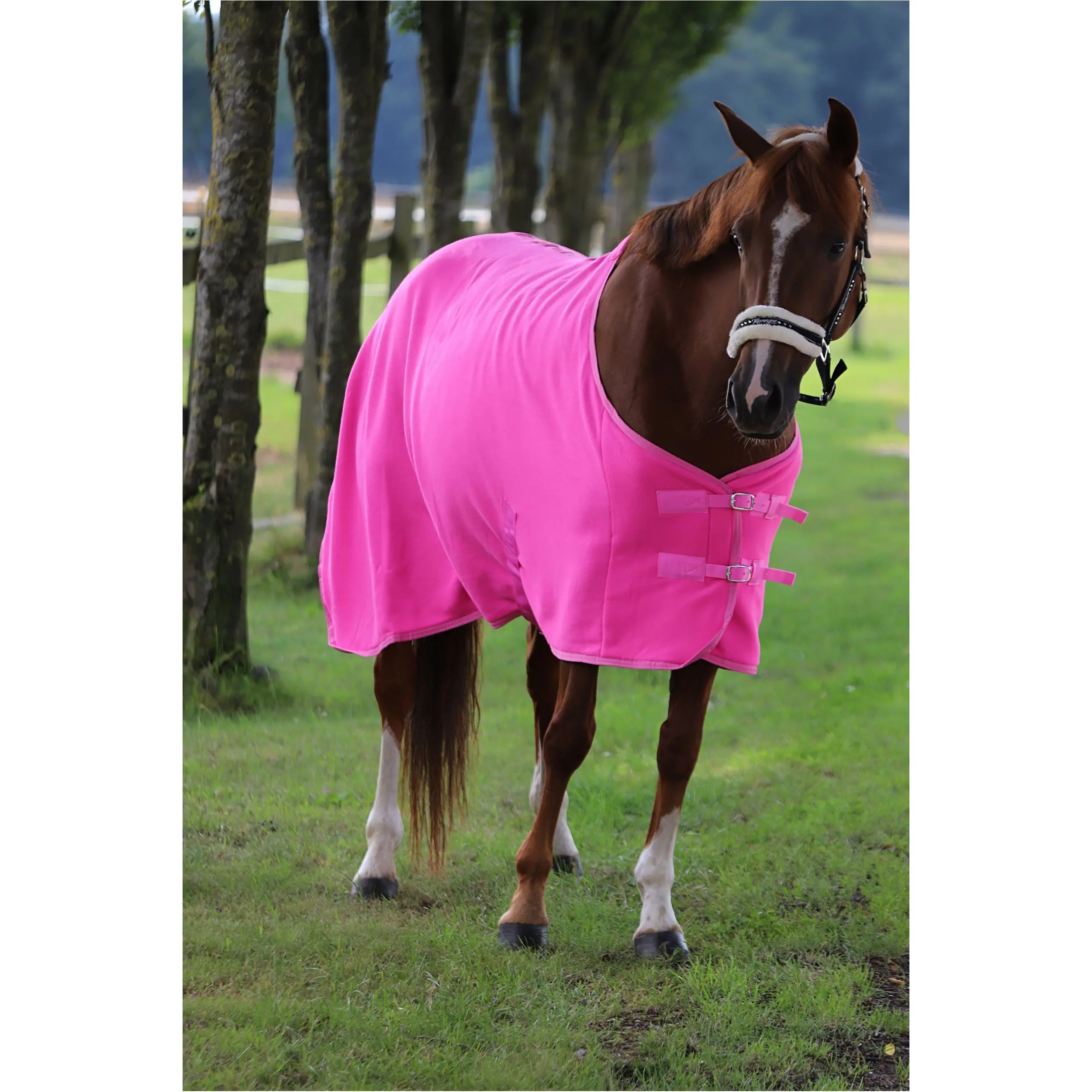 Abschwitzdecke mit Kreuzgurt BASICLINE neon pink