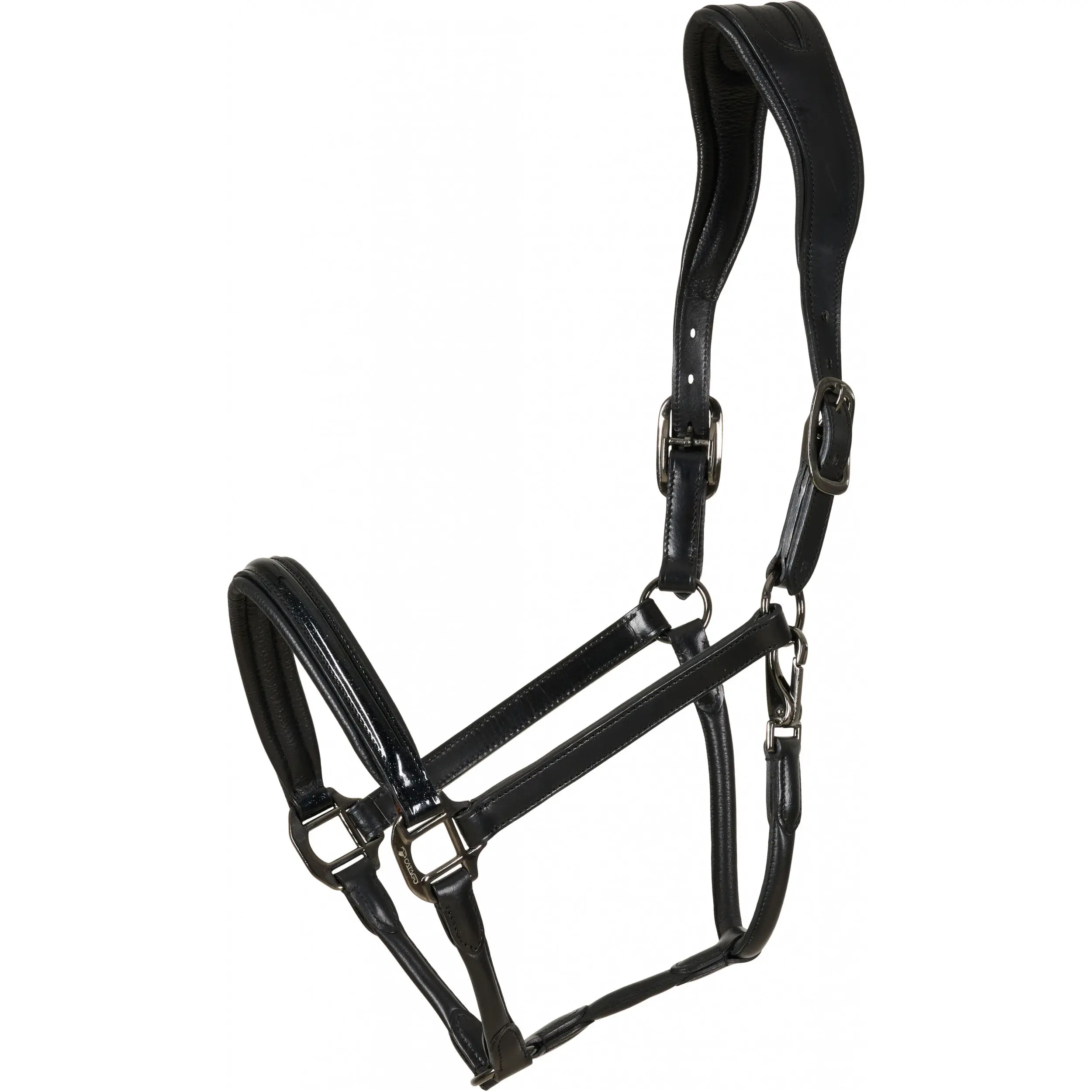 Lederhalfter NOVI 25.1 schwarz