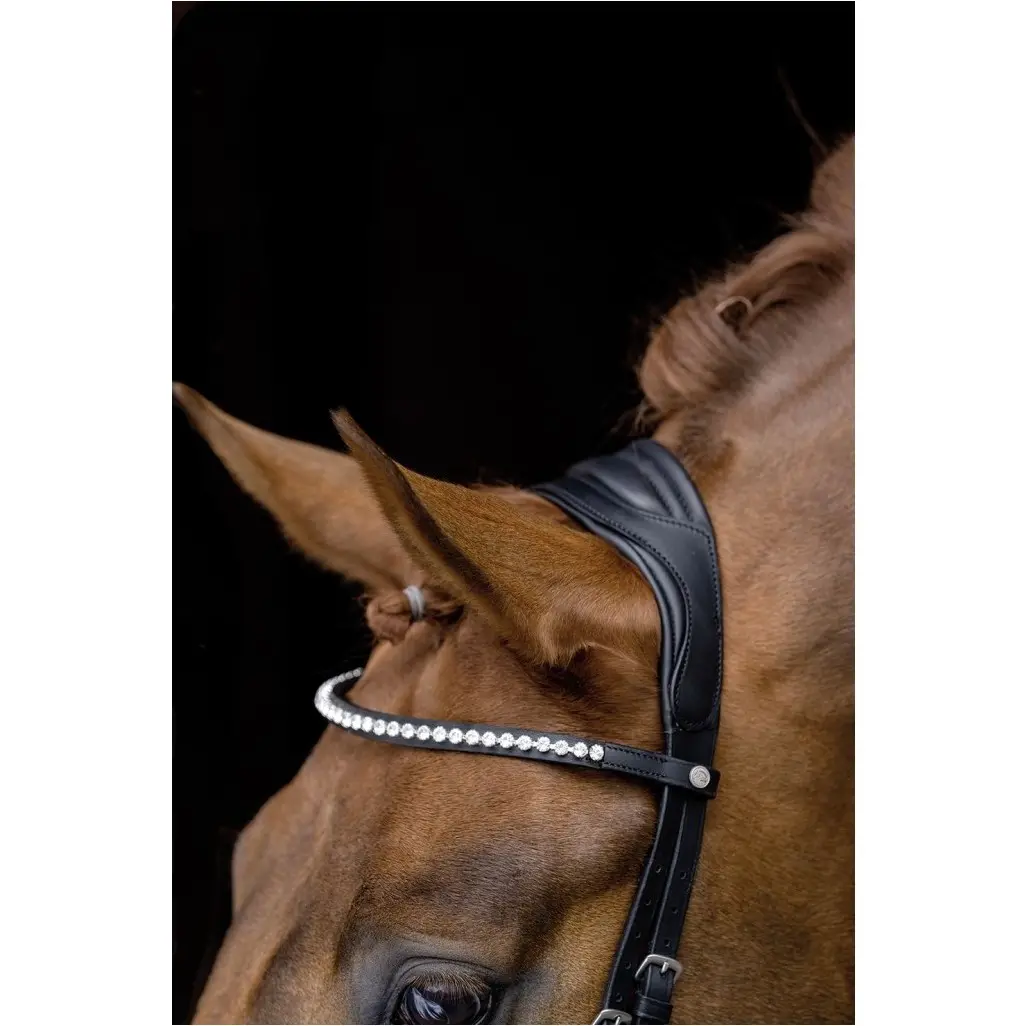 Trensenzaum PRO ANATOMIC schwarz