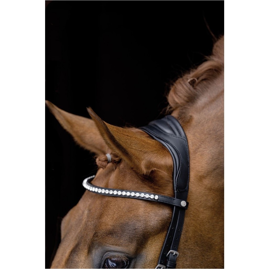 Trensenzaum PRO ANATOMIC schwarz