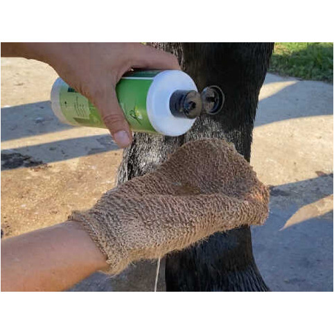 Shampoo Prävention und Pflege TEA TREE 500ml