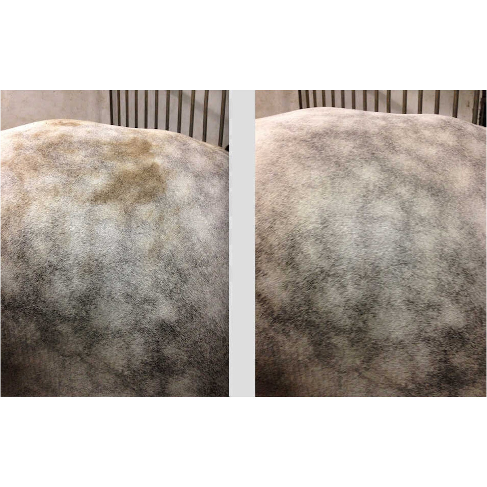 Fleckentferner-Schaum Easy Shine 200ml