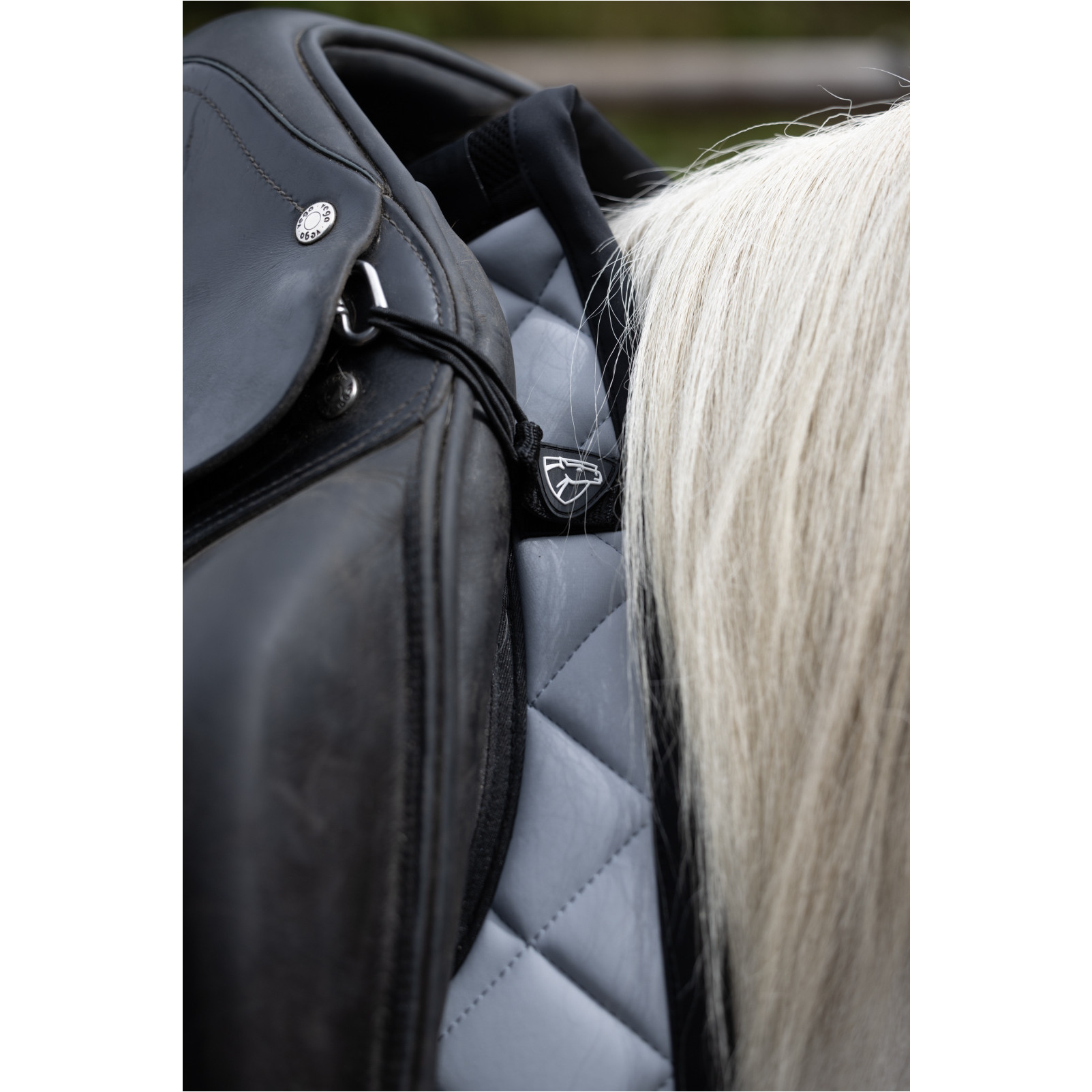 Island Satteldecke FIR-Tech GRAND 2.0 ICELANDIC monument