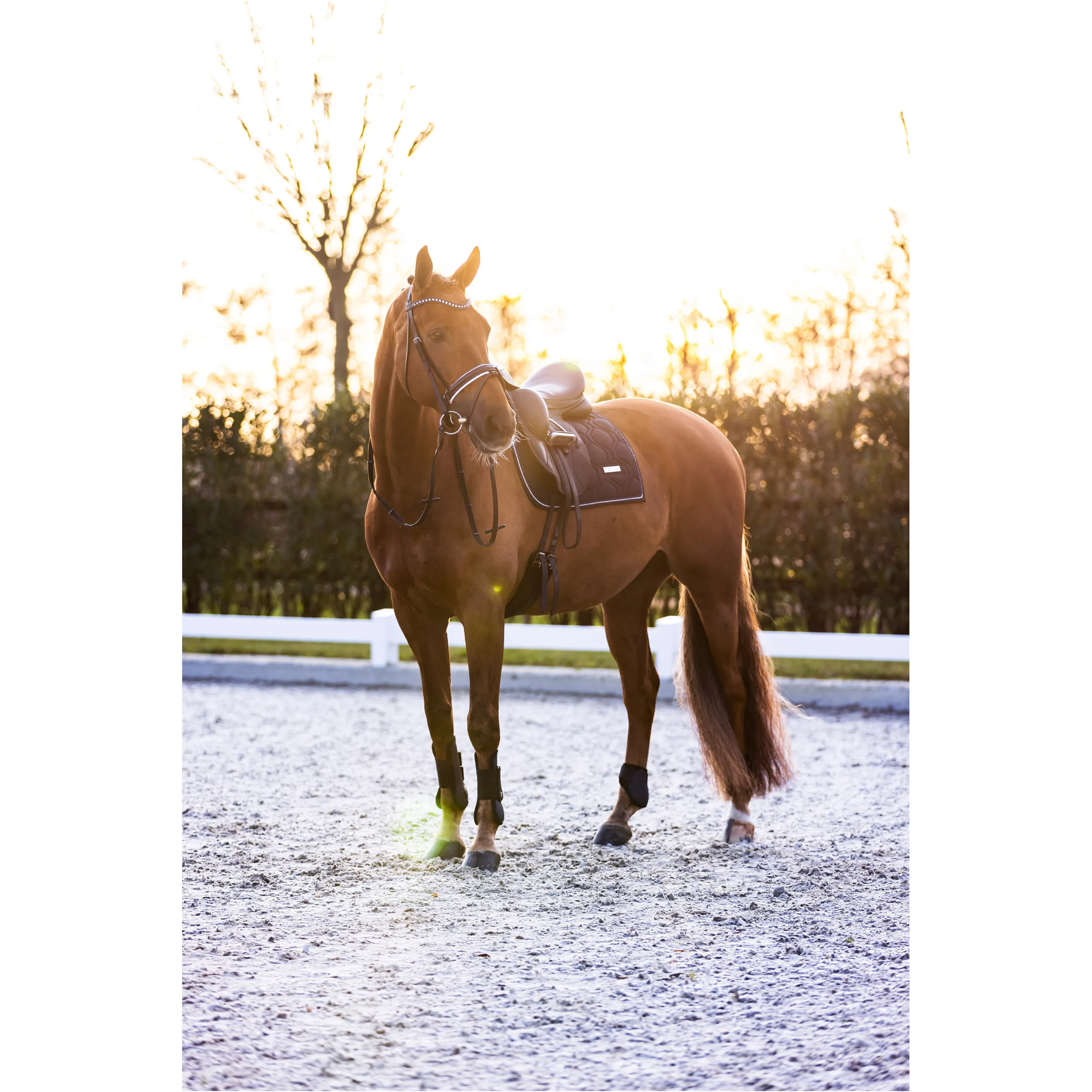 Streichkappen IRHLovely navy