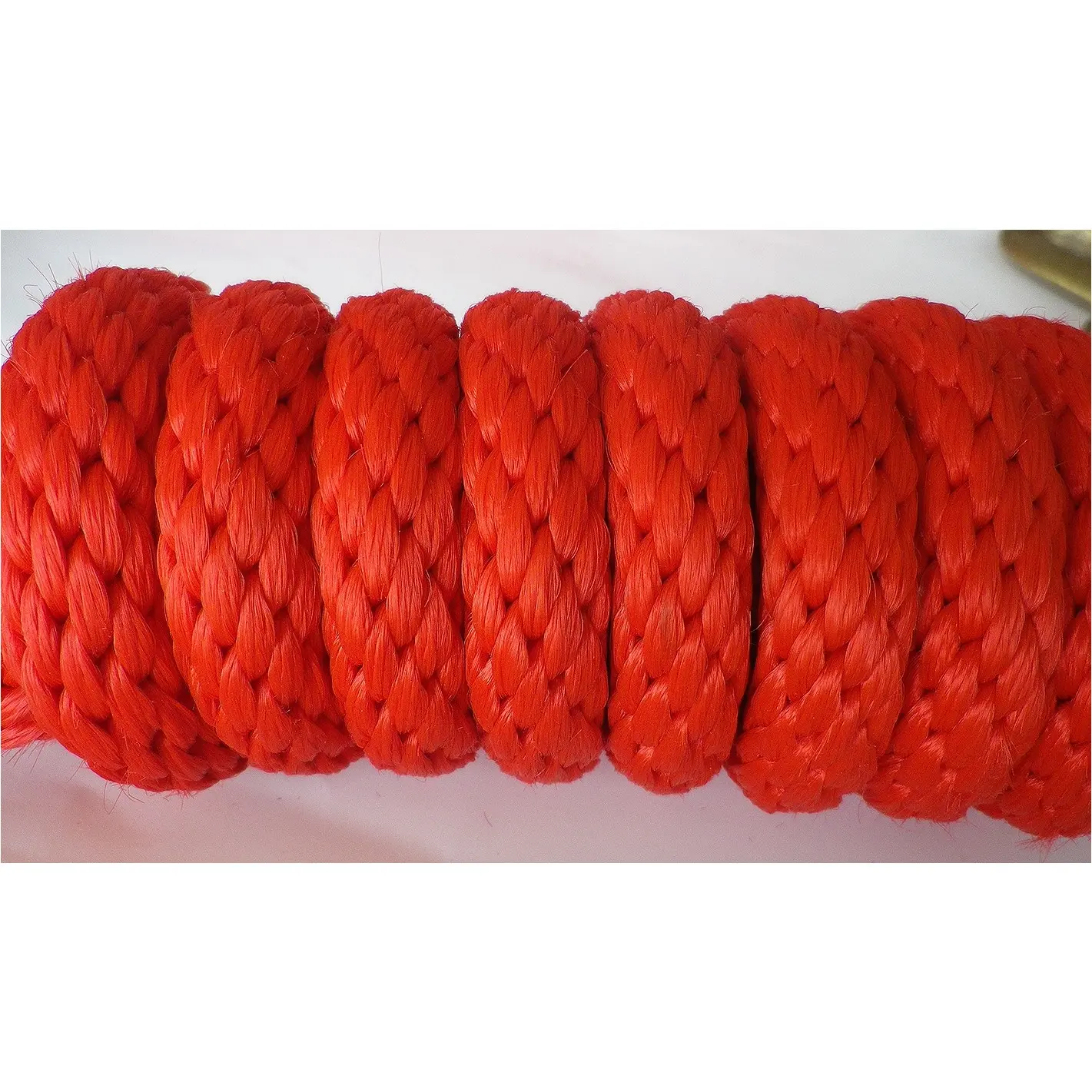 Führstrick mit Karabinerhaken rot 240cm Führstrick mit Karabinerhaken rot 240cm