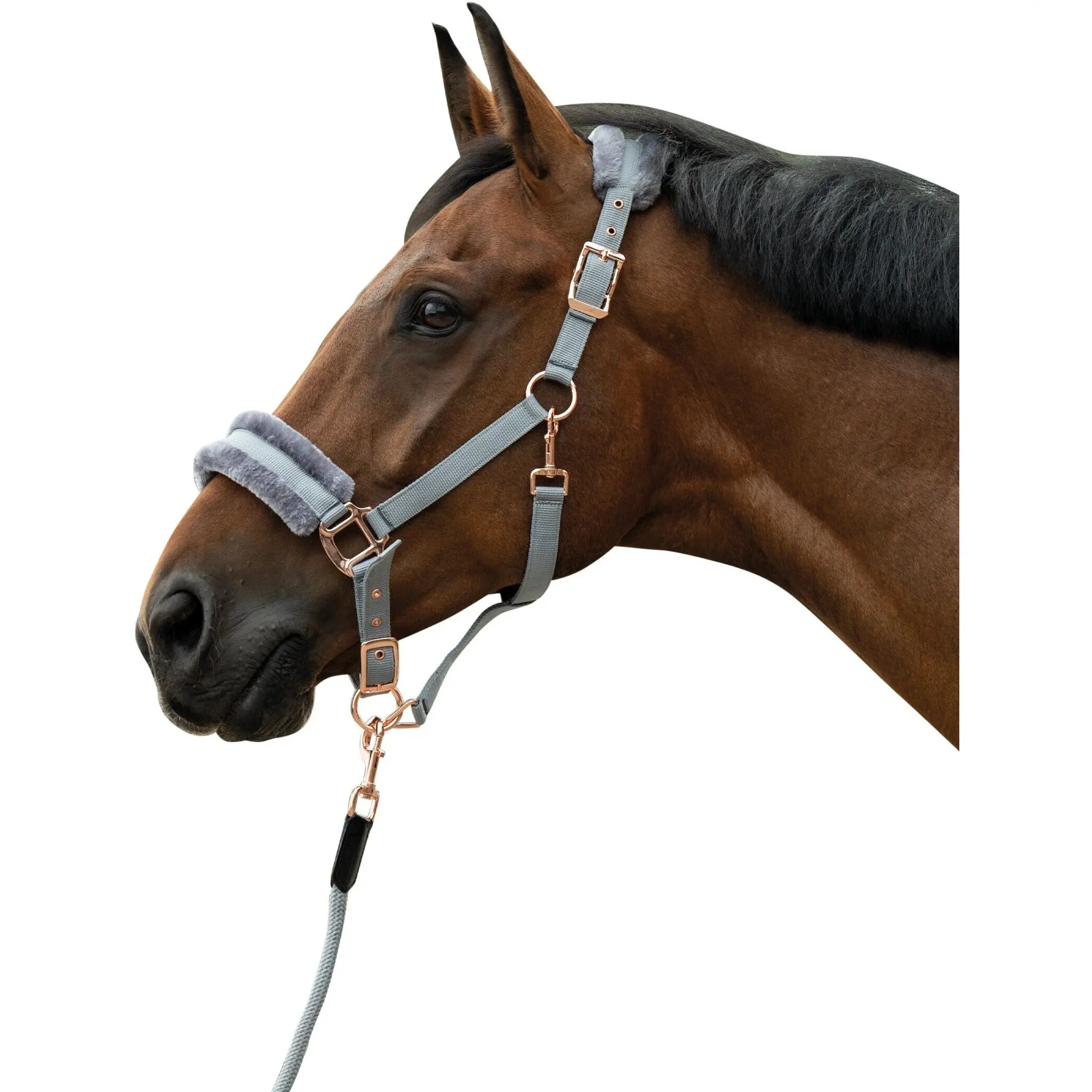 Halfter ROSEGOLD GLAMOUR STYLE grau/rosegold