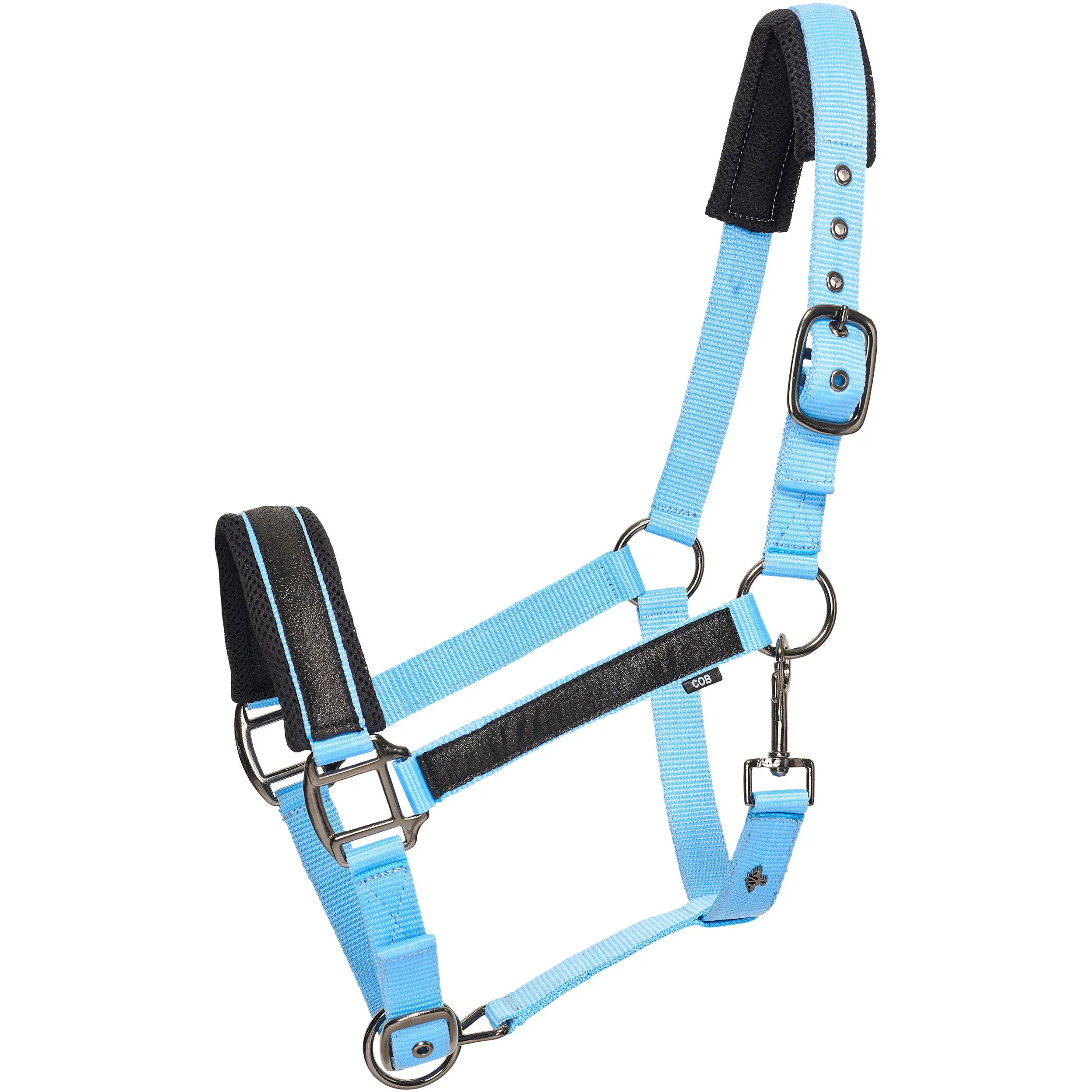 powder blue