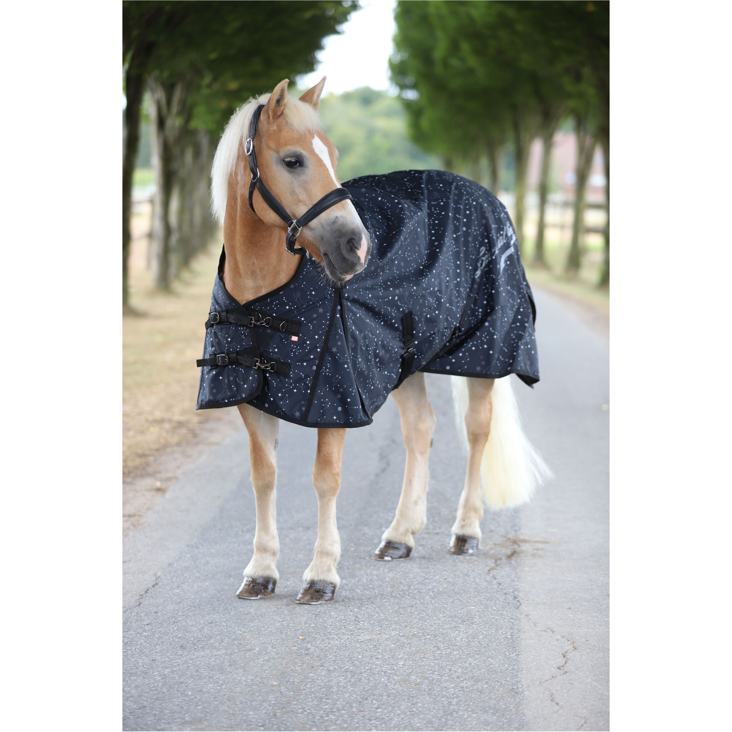 Outdoordecke 600D IRHSuper-dry STARDUST black