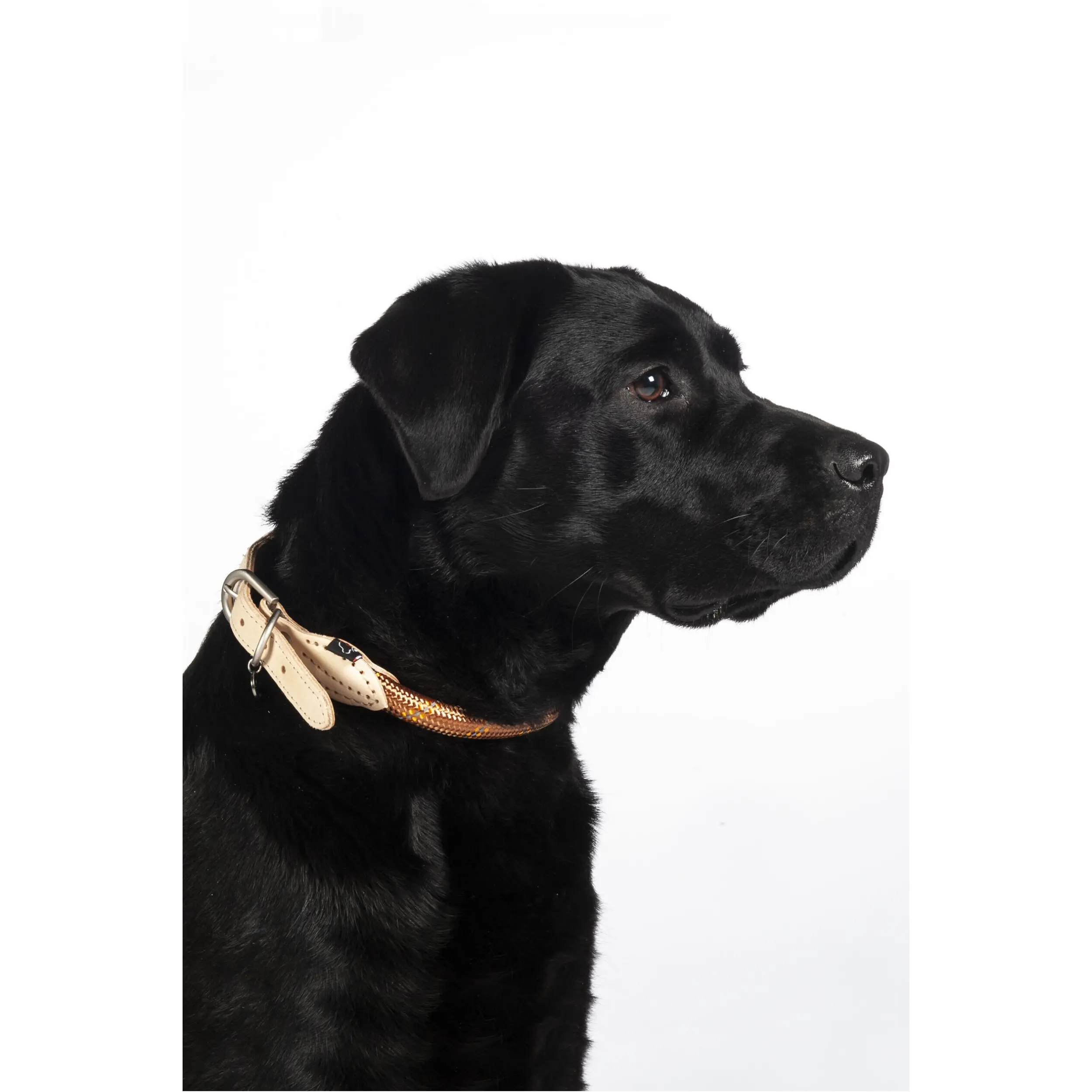 Hundehalsband ANAM CARA TAU cognac Hundehalsband ANAM CARA TAU cognac