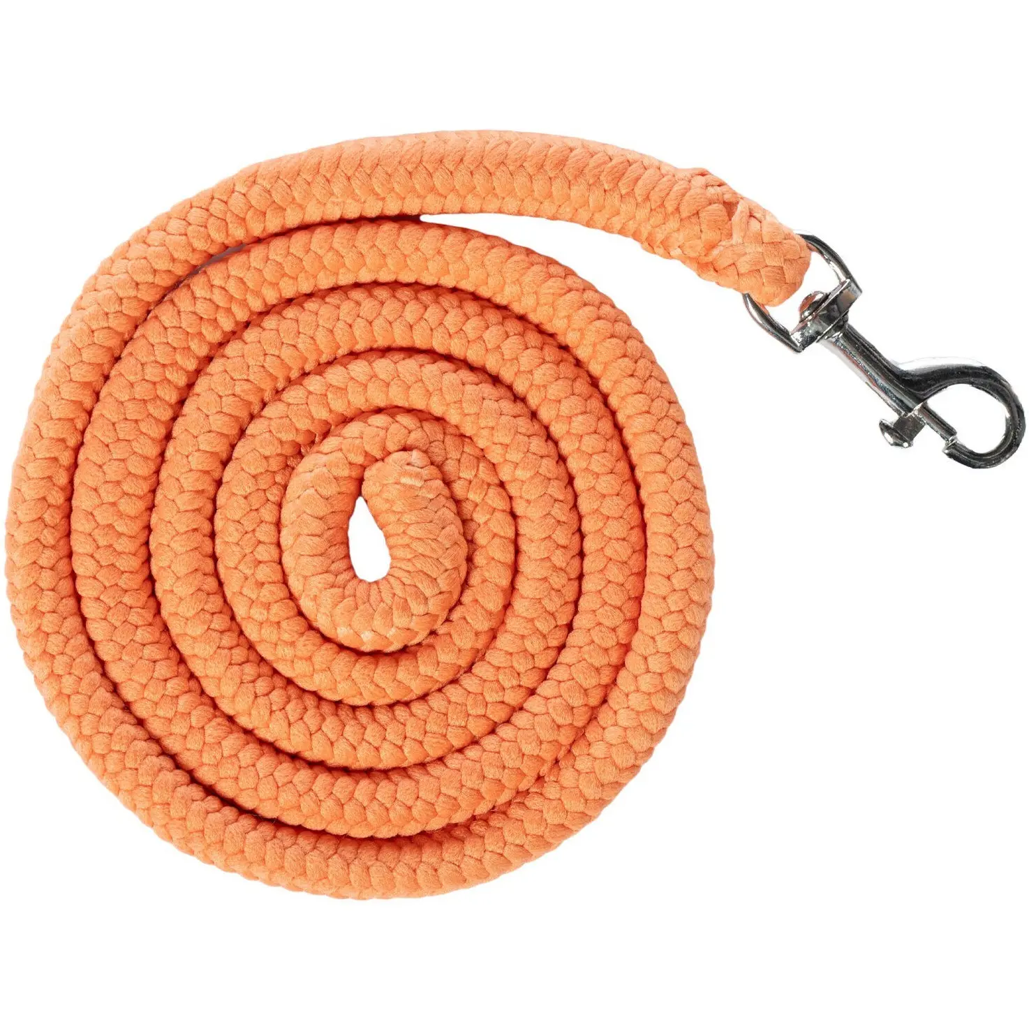 Halfter und Strick HOBBY HORSING BASIC orange