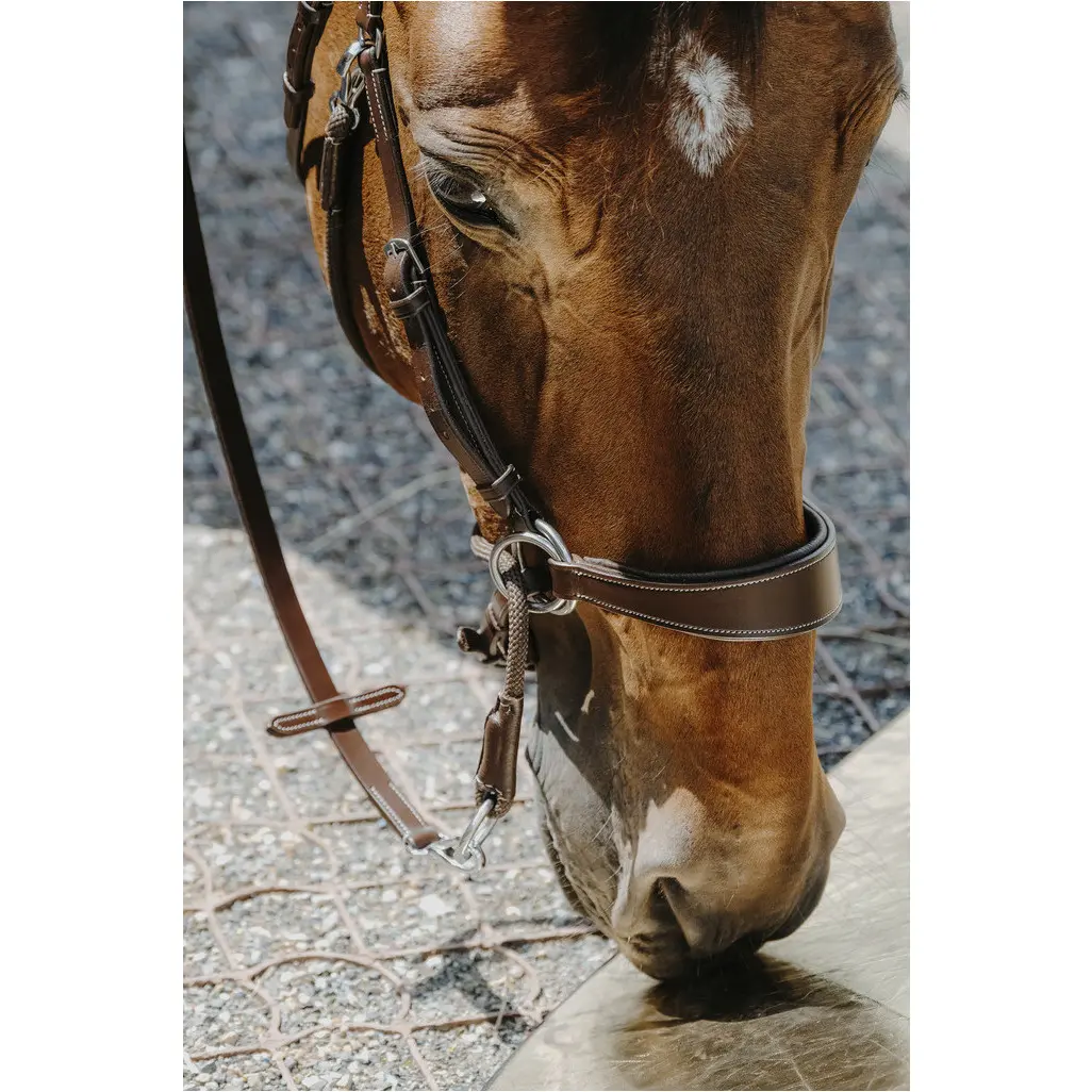 Trensenzaum und Gurtzügel BITLESS Echtleder havana Trensenzaum und Gurtzügel BITLESS Echtleder havana