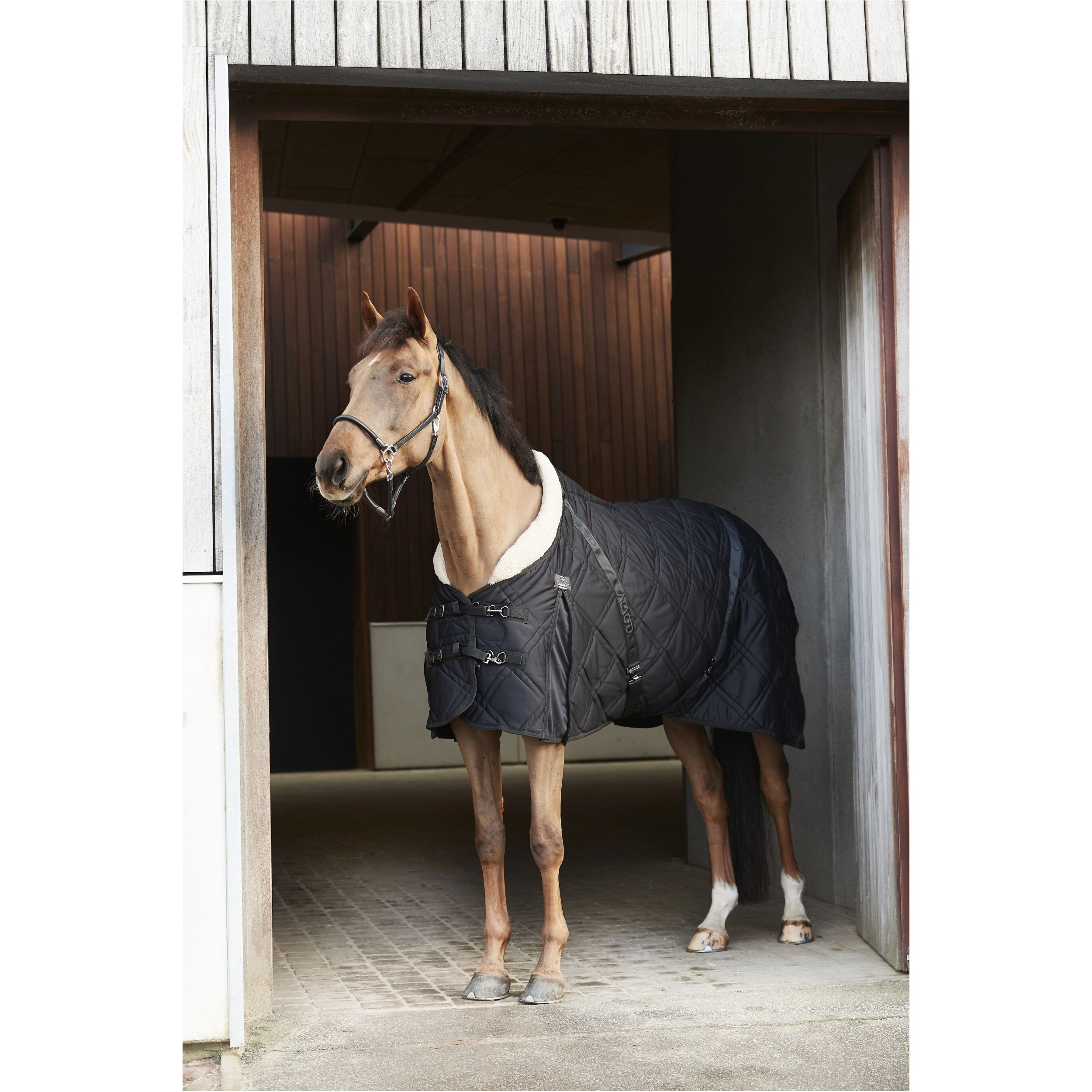 Stalldecke gesteppt 200g Füllung FIR-Tech QUILT schwarz