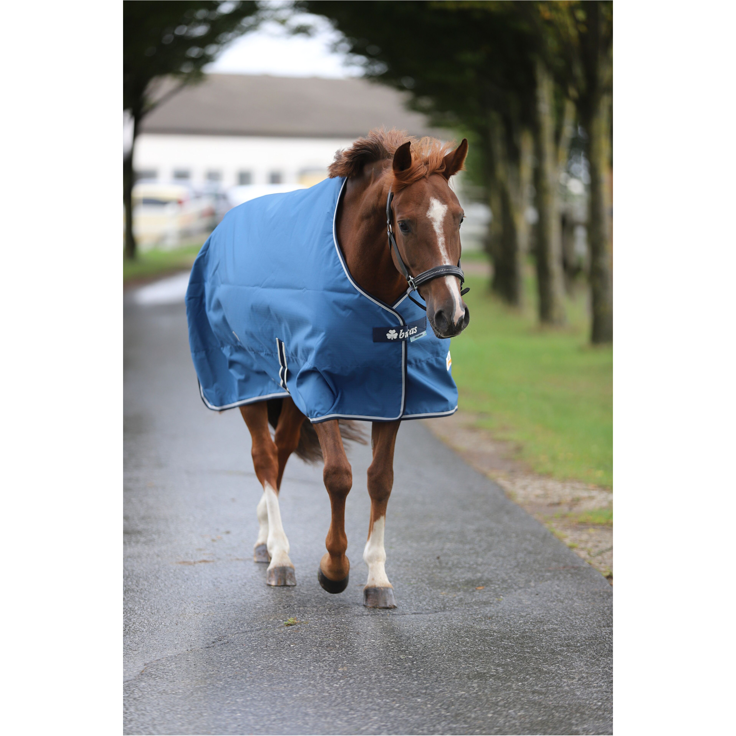 Weidedecke 600D FREEDOM TURNOUT blau/navy