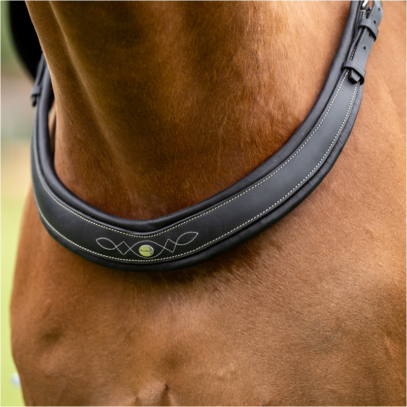 Vorderzeug JEROME schwarz