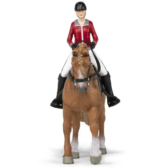 Pferd und Reiterin