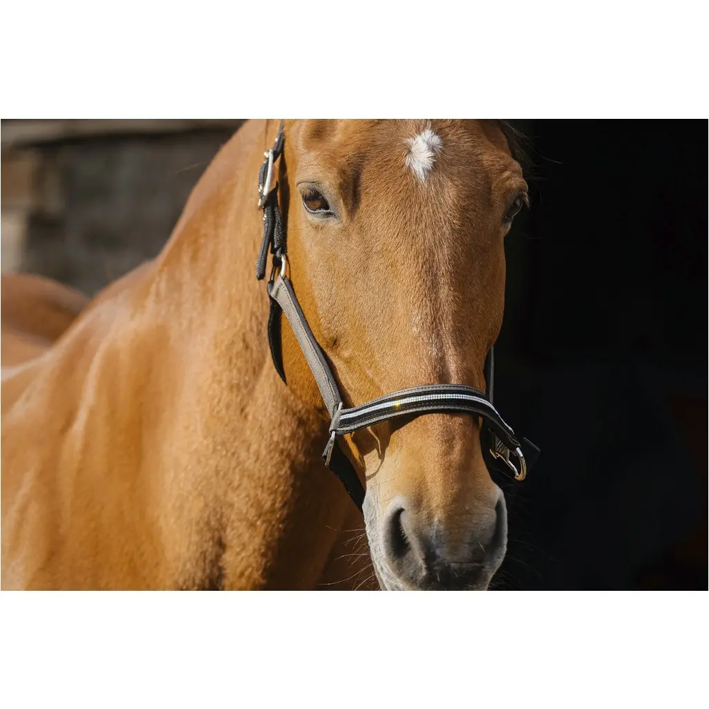 Nylonhalfter mit Strass DOMINO kupfer