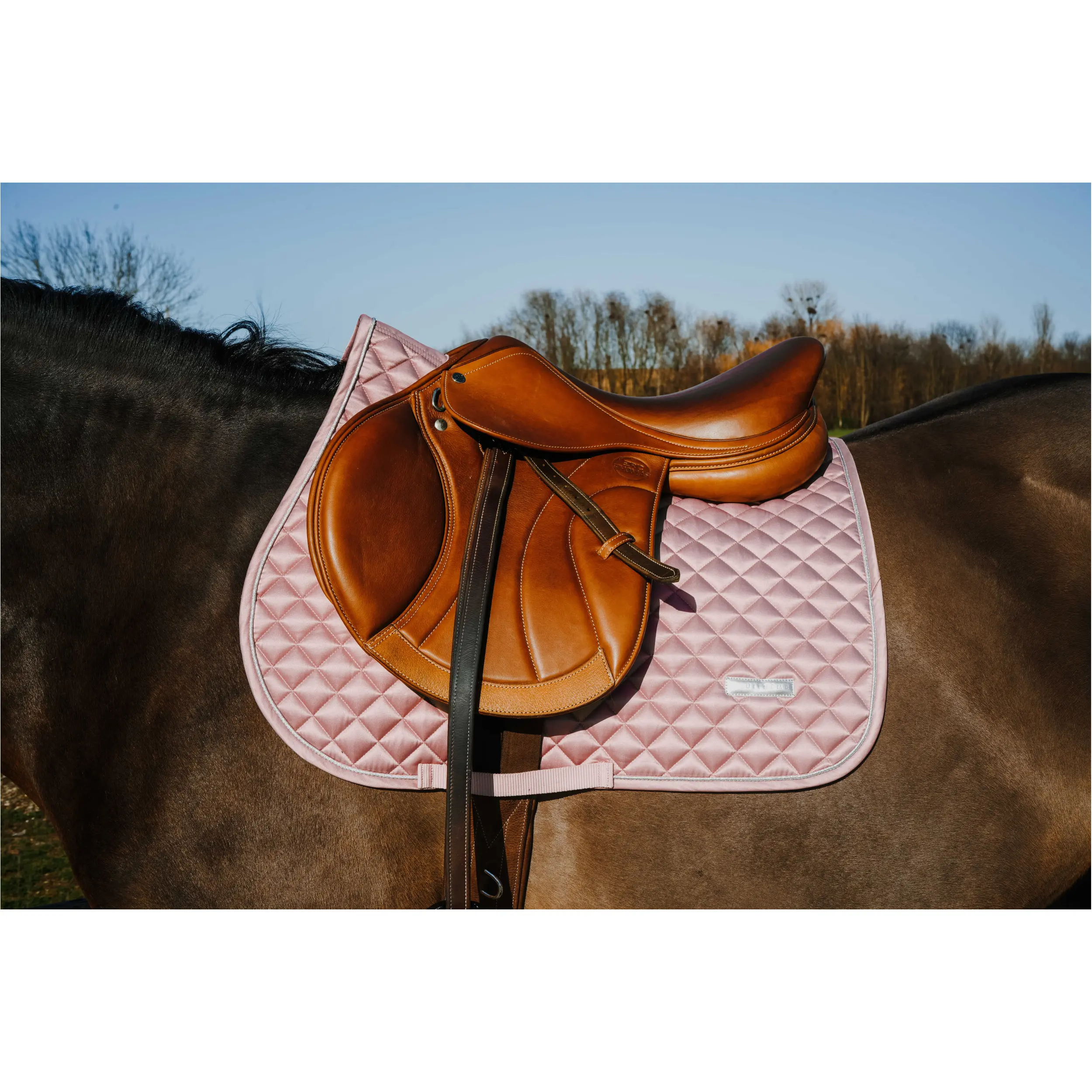 Schabracke NACRE rosa Warmblut Vielseitigkeit