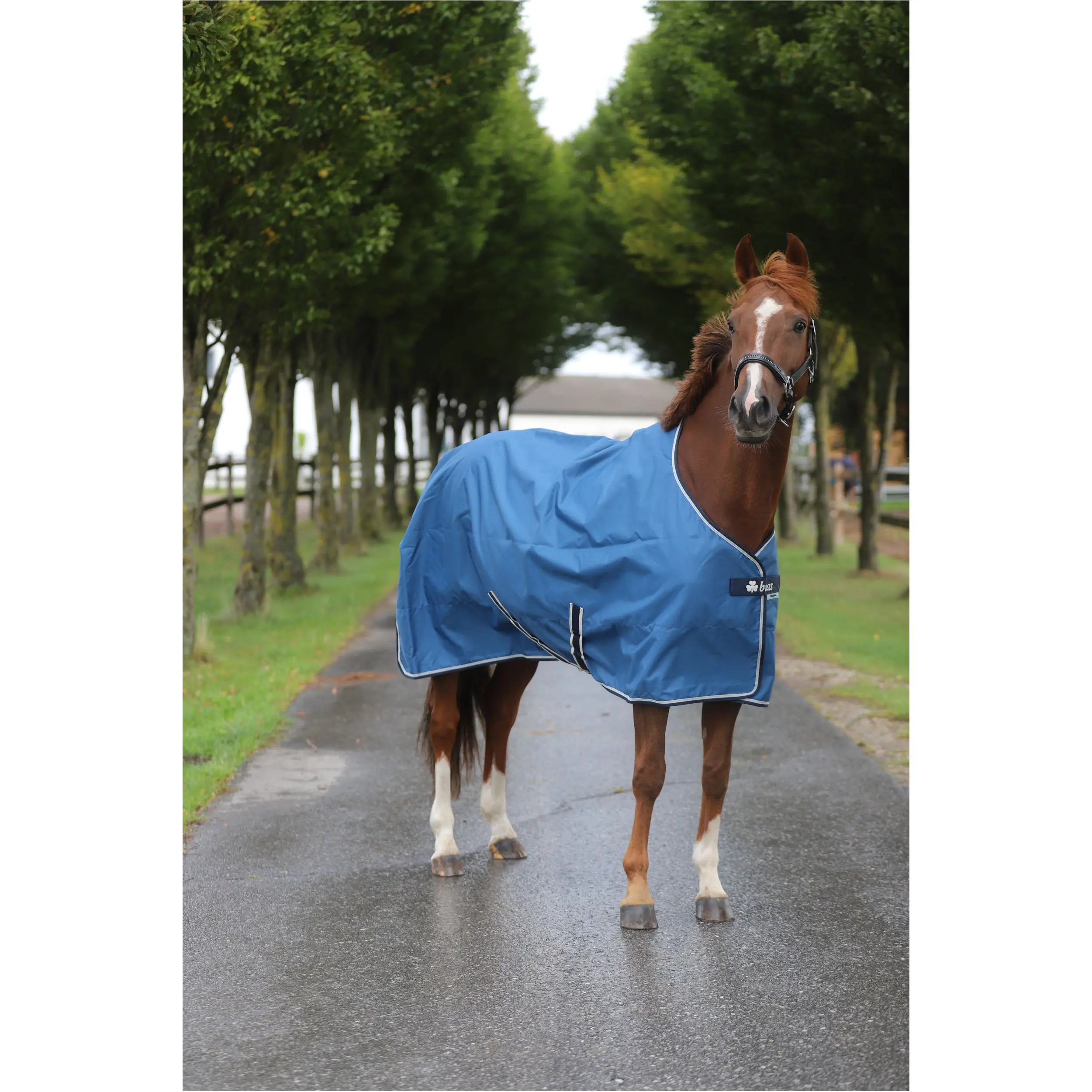 Weidedecke 600D FREEDOM TURNOUT blau/navy Weidedecke 600D FREEDOM TURNOUT blau/navy