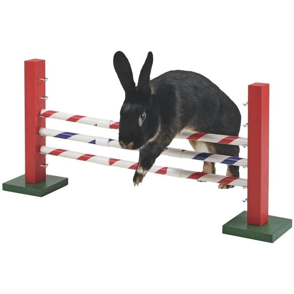 Agility Steilsprung für Nager 70x5x35cm