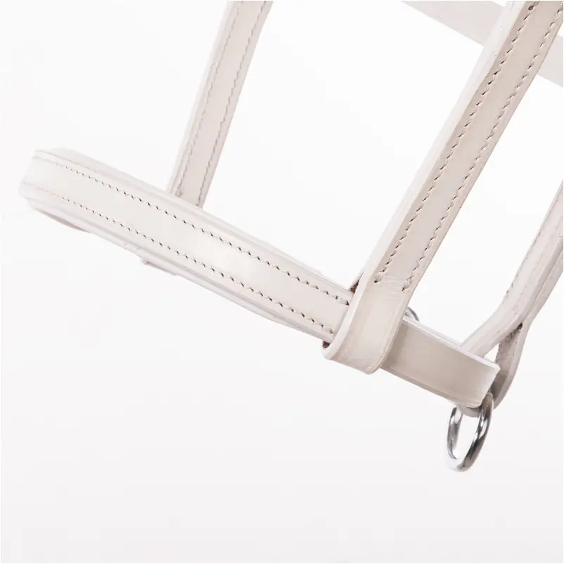Fohlenhalfter Leder weiß/silber