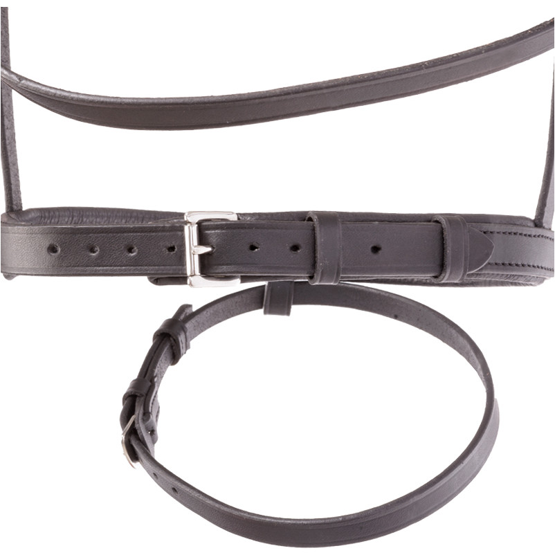 Trensenzaum englisch kombiniert QUENTIN schwarz