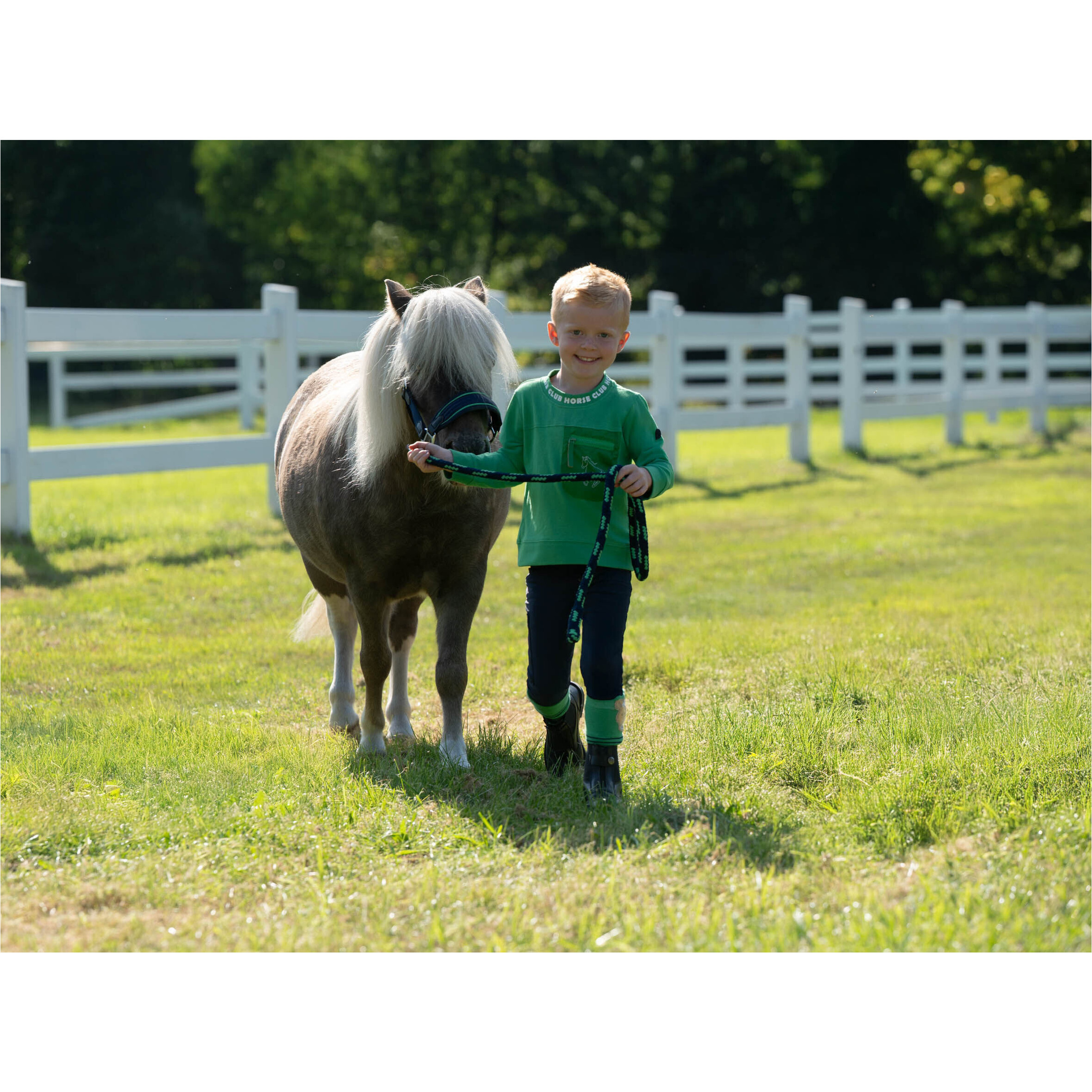 Führstrick mit Karabinerhaken MAUI dunkelblau/grün Führstrick mit Karabinerhaken MAUI dunkelblau/grün
