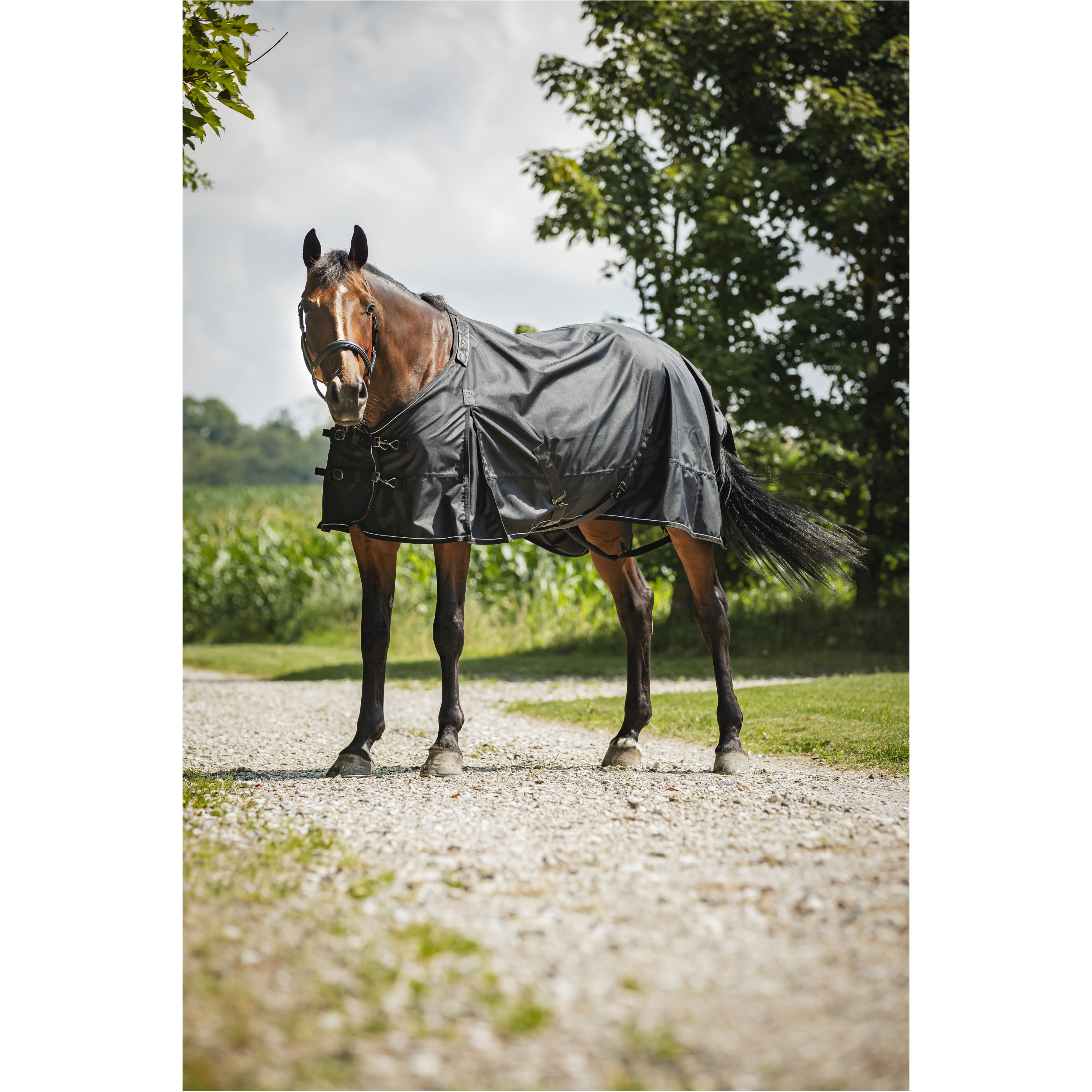 Turnoutdecke 1680D ENDURANCE 2.0 schwarz