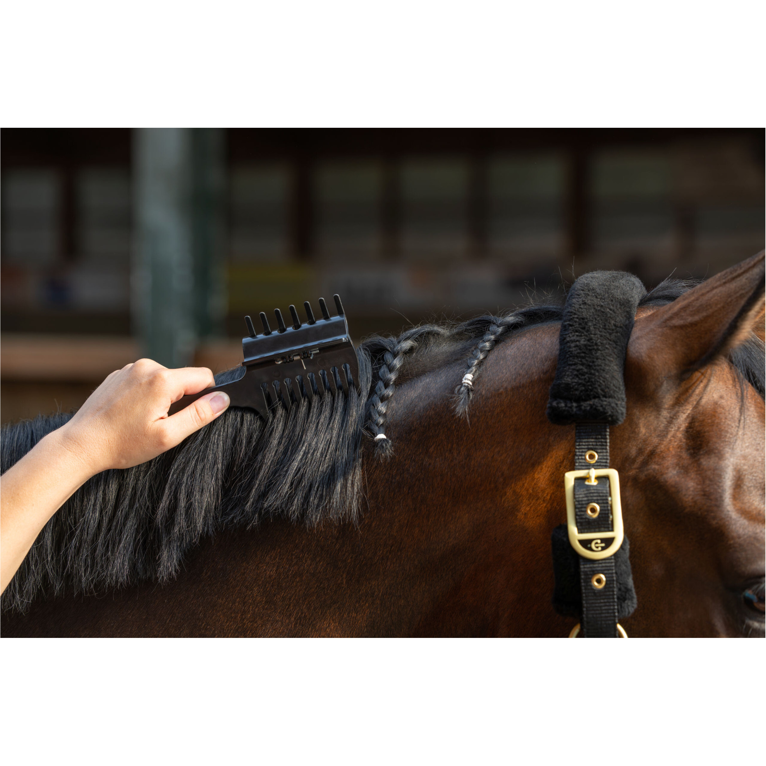 Mähnenkamm COMPETITION schwarz Mähnenkamm COMPETITION schwarz