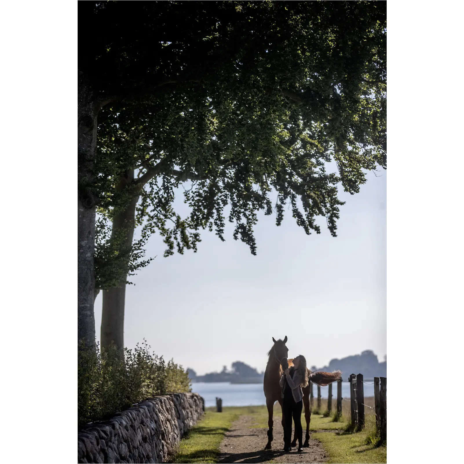 Damen Reitjacke MILES dune Damen Reitjacke MILES dune