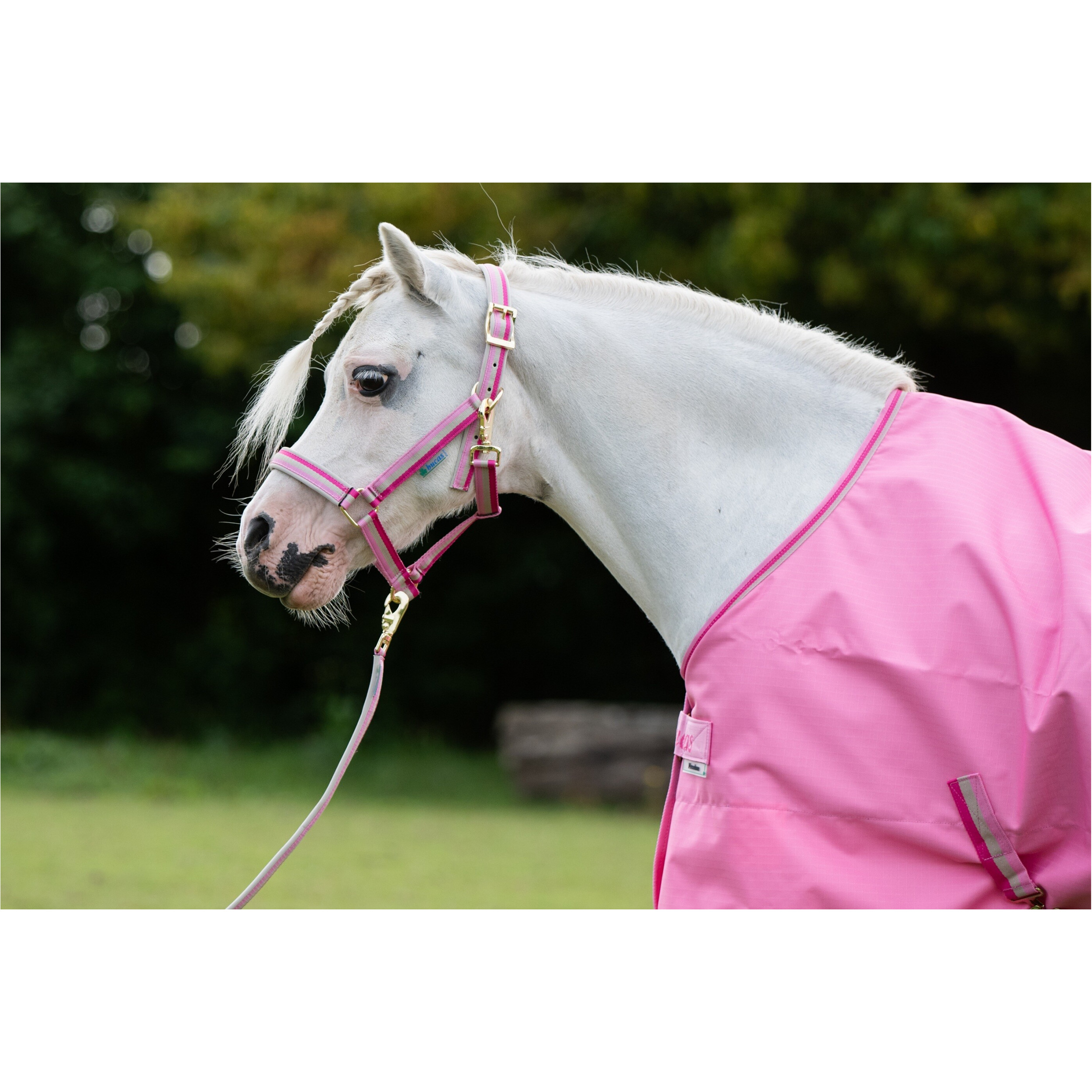 Führstrick DUBLIN aurora pink 200cm