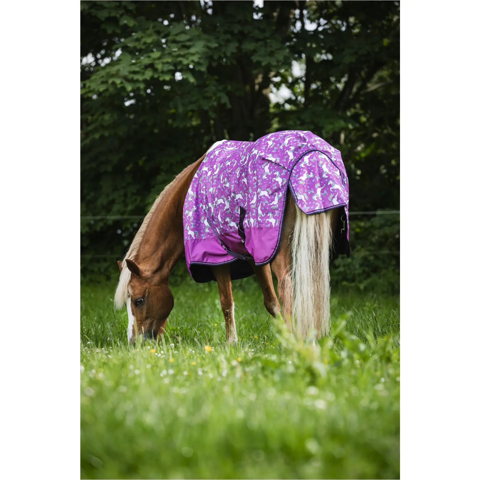 Turnoutdecke 600D JOSH UNICORN phlox pink