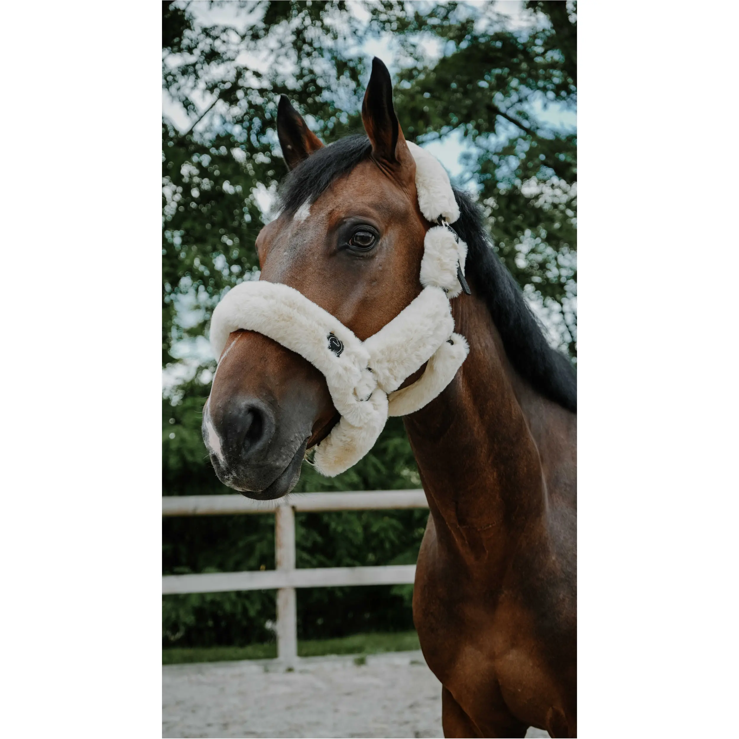 Halfter Je t'aime SNUGGY EquiTheme naturfarben