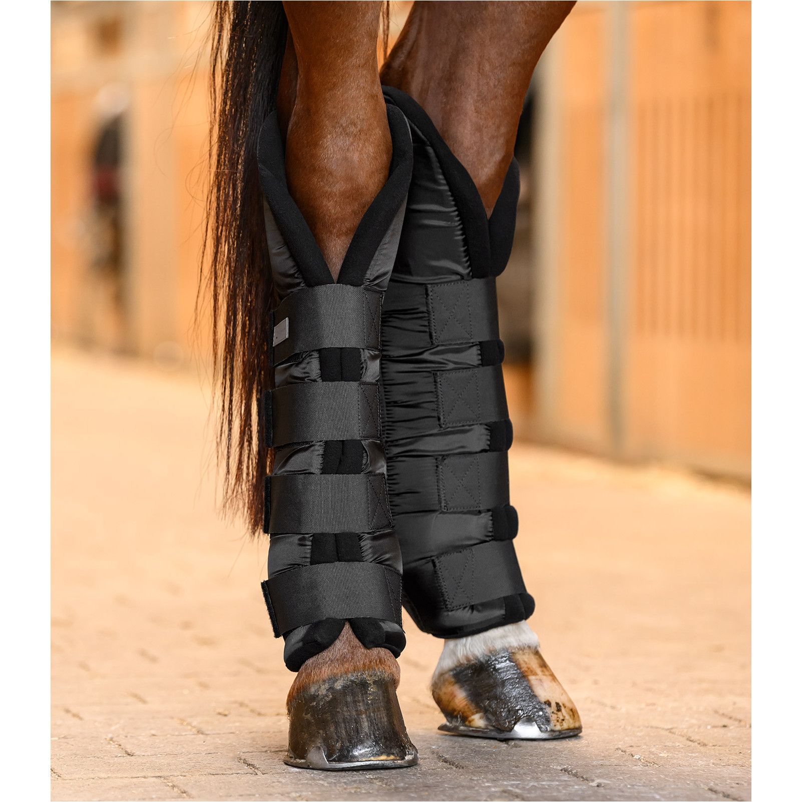 Stallgamaschen hinten mit Gelenksupport schwarz Stallgamaschen hinten mit Gelenksupport schwarz