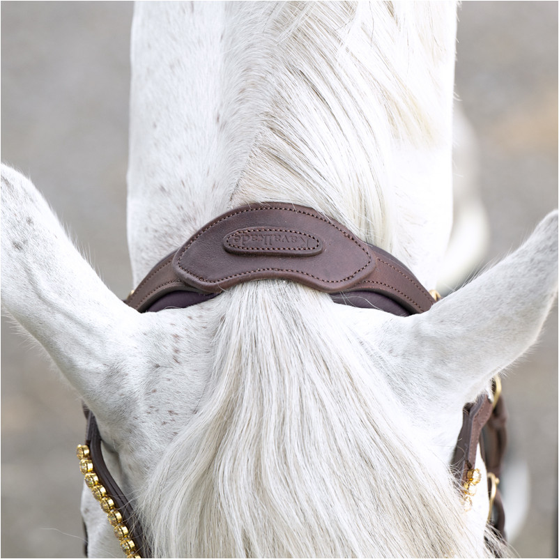 Trensenzaum englisch kombiniert CALIANO Leder geölt braun/messing