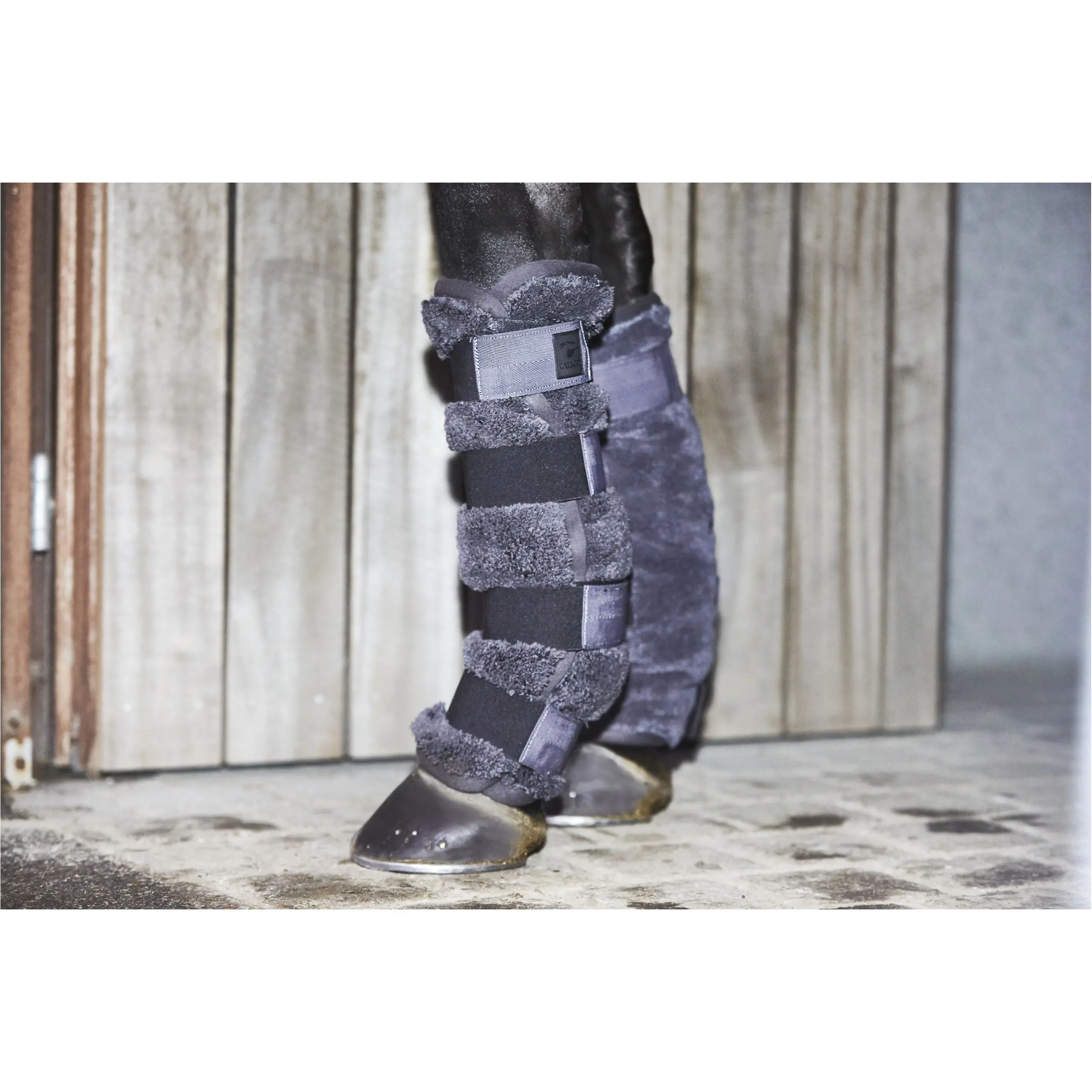 Trockengamaschen asphalt