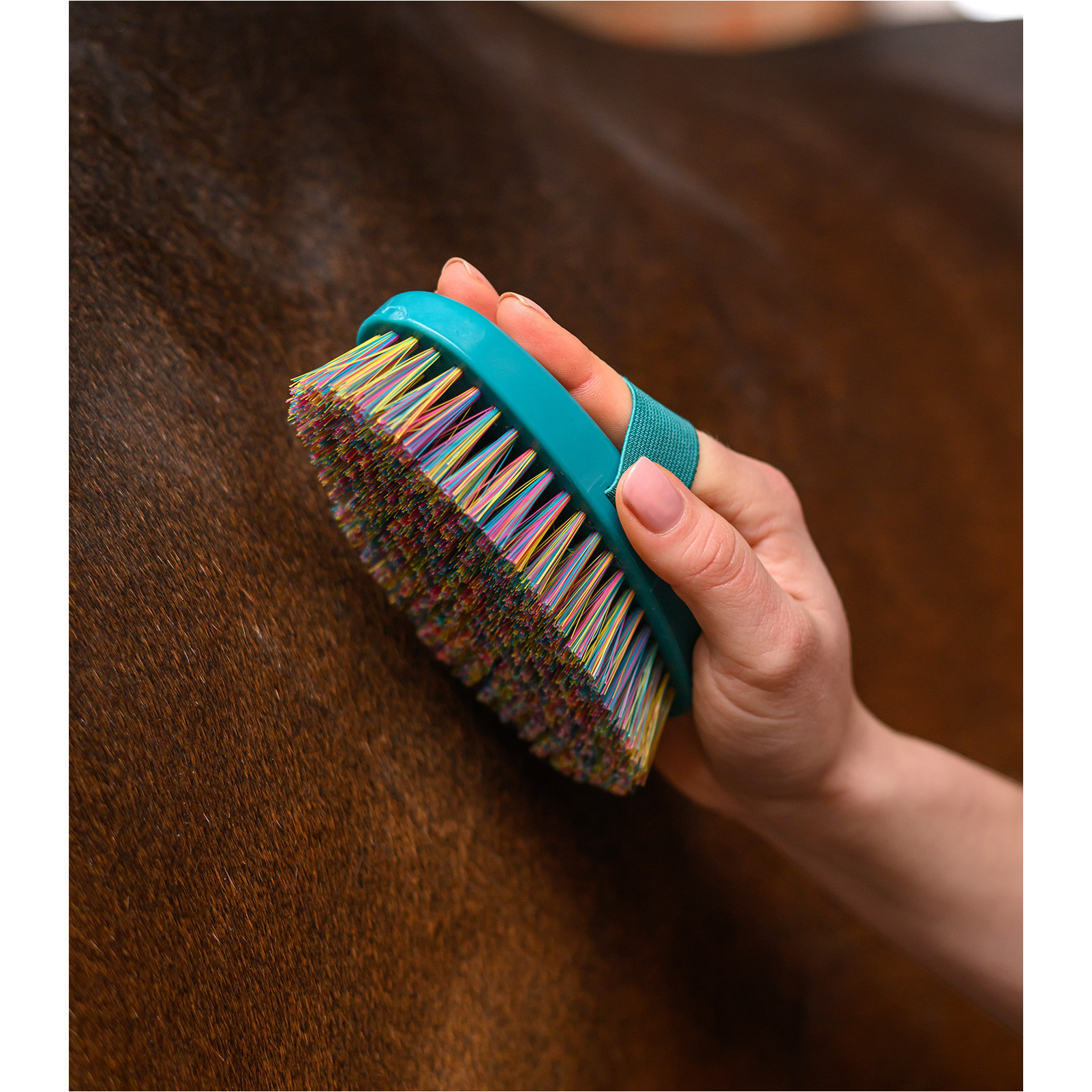 Kardätsche RAINBOW petrolblau