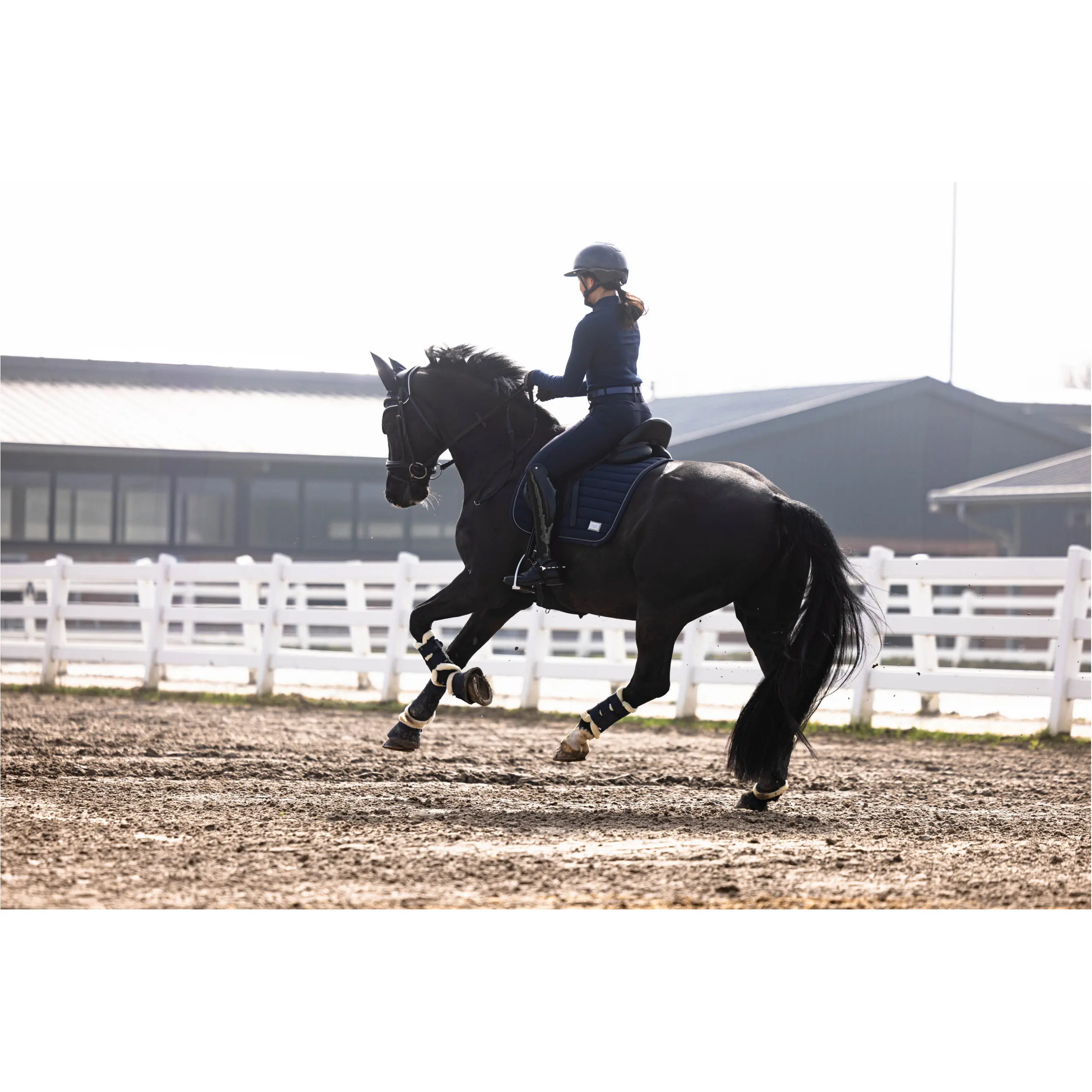 Damen Reithose Silikon Vollbesatz AREZZO dunkelblau