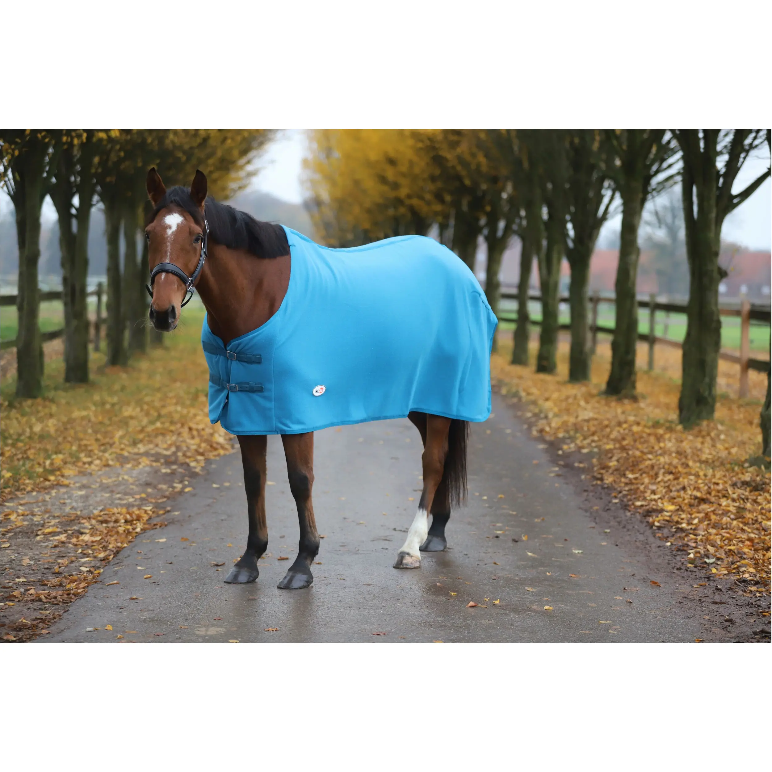 Abschwitzdecke BASICLINE petrol