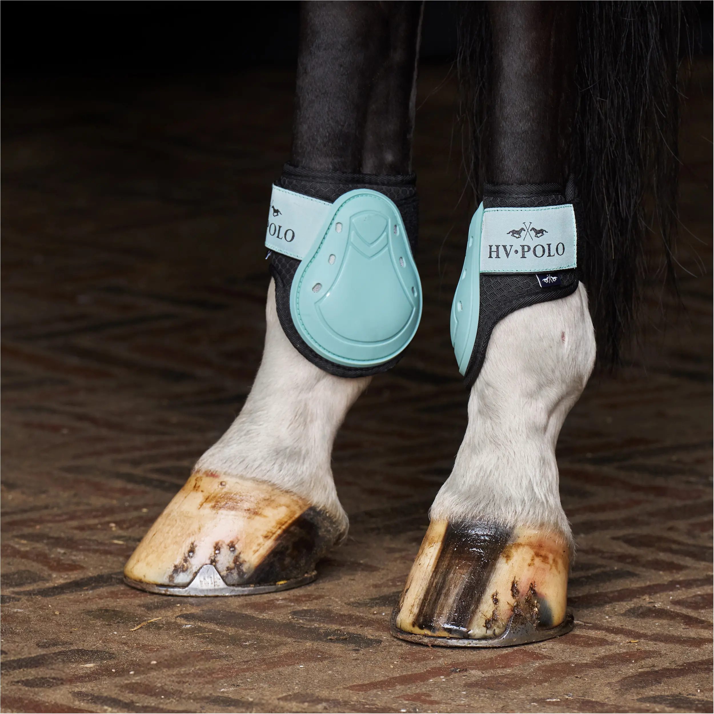 Gamaschen & Streichkappen (4er Set) HVPClassic aqua sky
