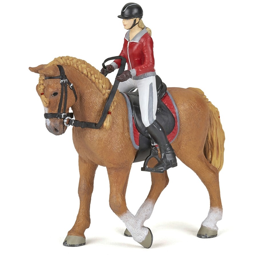 Pferd und Reiterin Pferd und Reiterin
