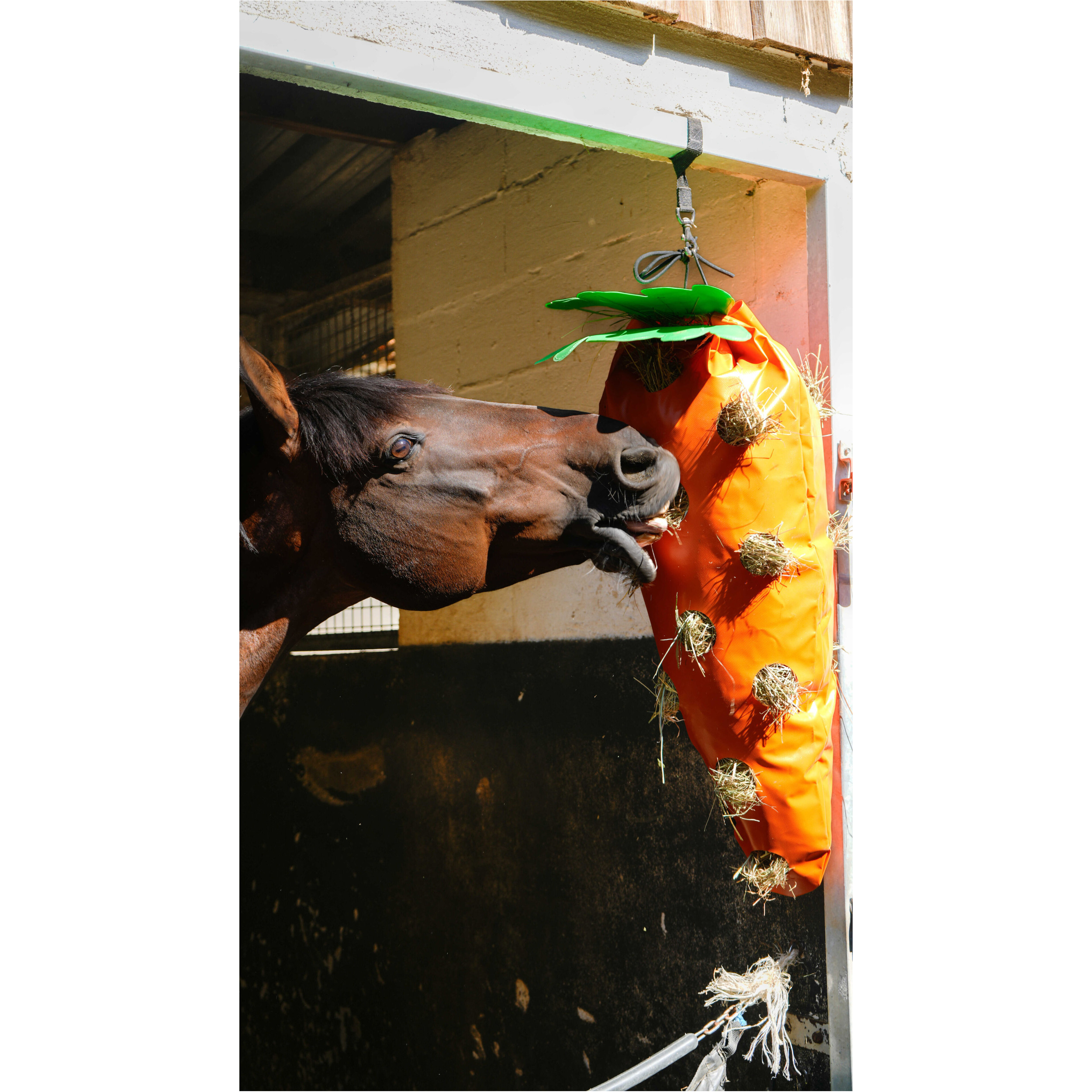 Heutasche KAROTTE orange