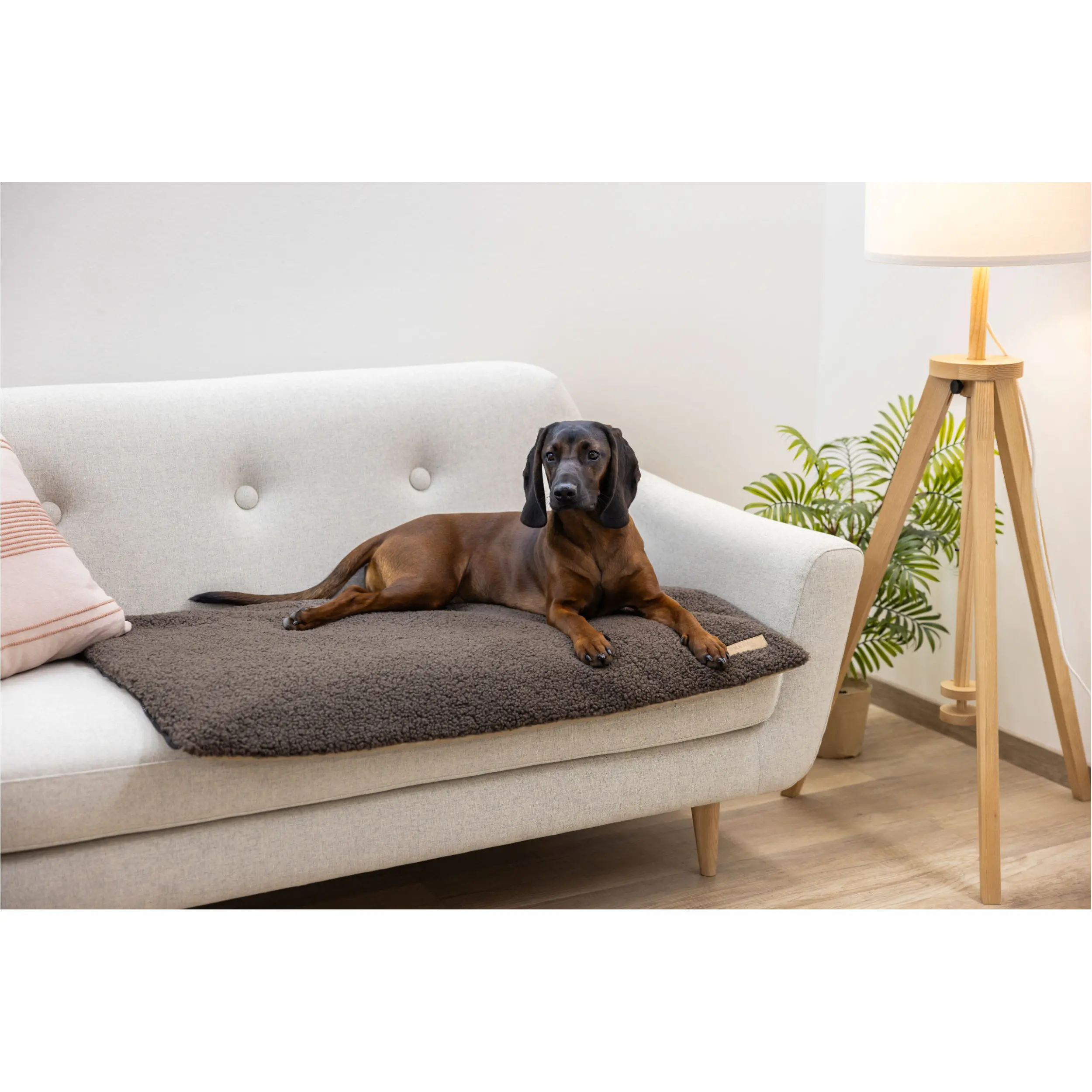 Multifunktionsmatratze beige/braun