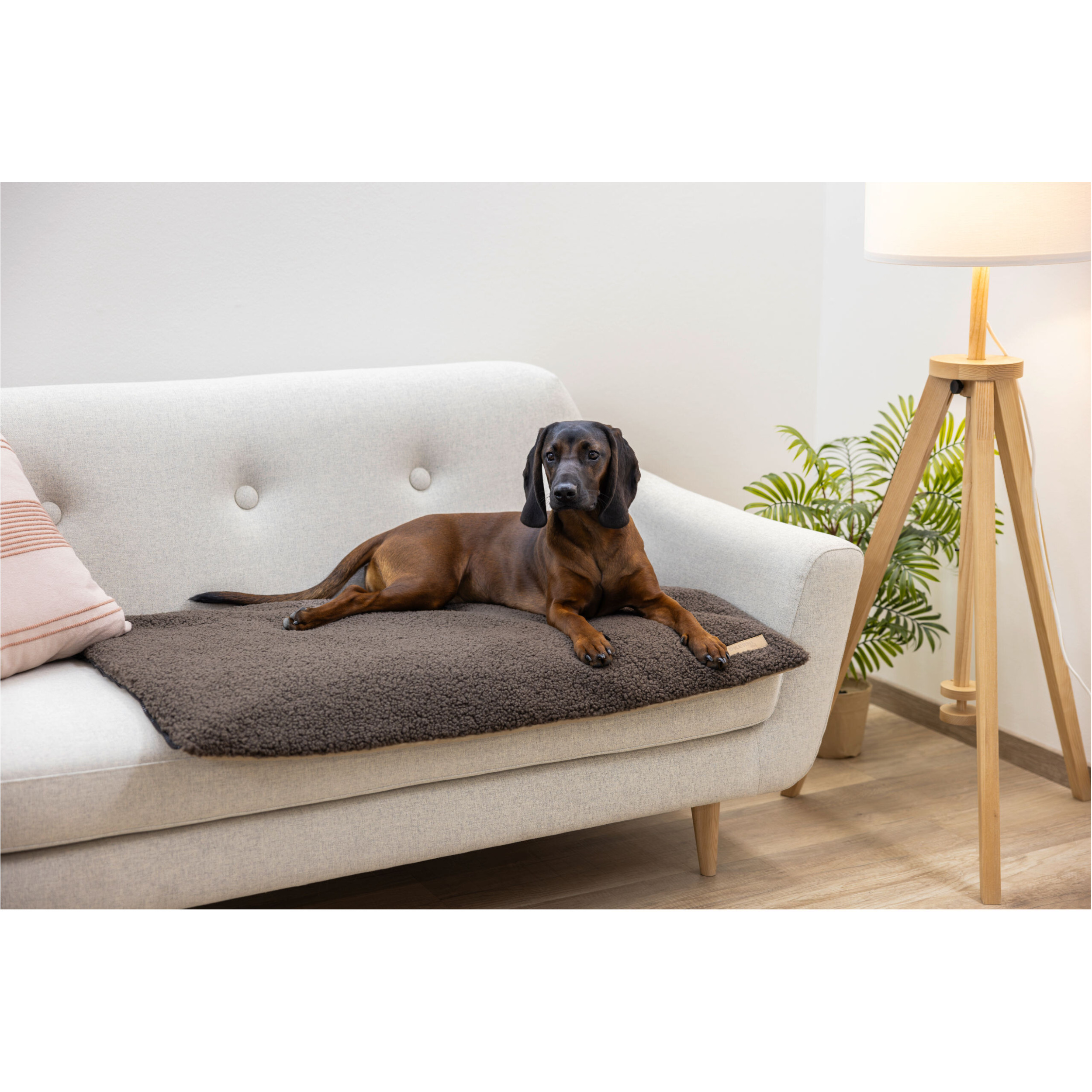 Multifunktionsmatratze beige/braun Multifunktionsmatratze beige/braun