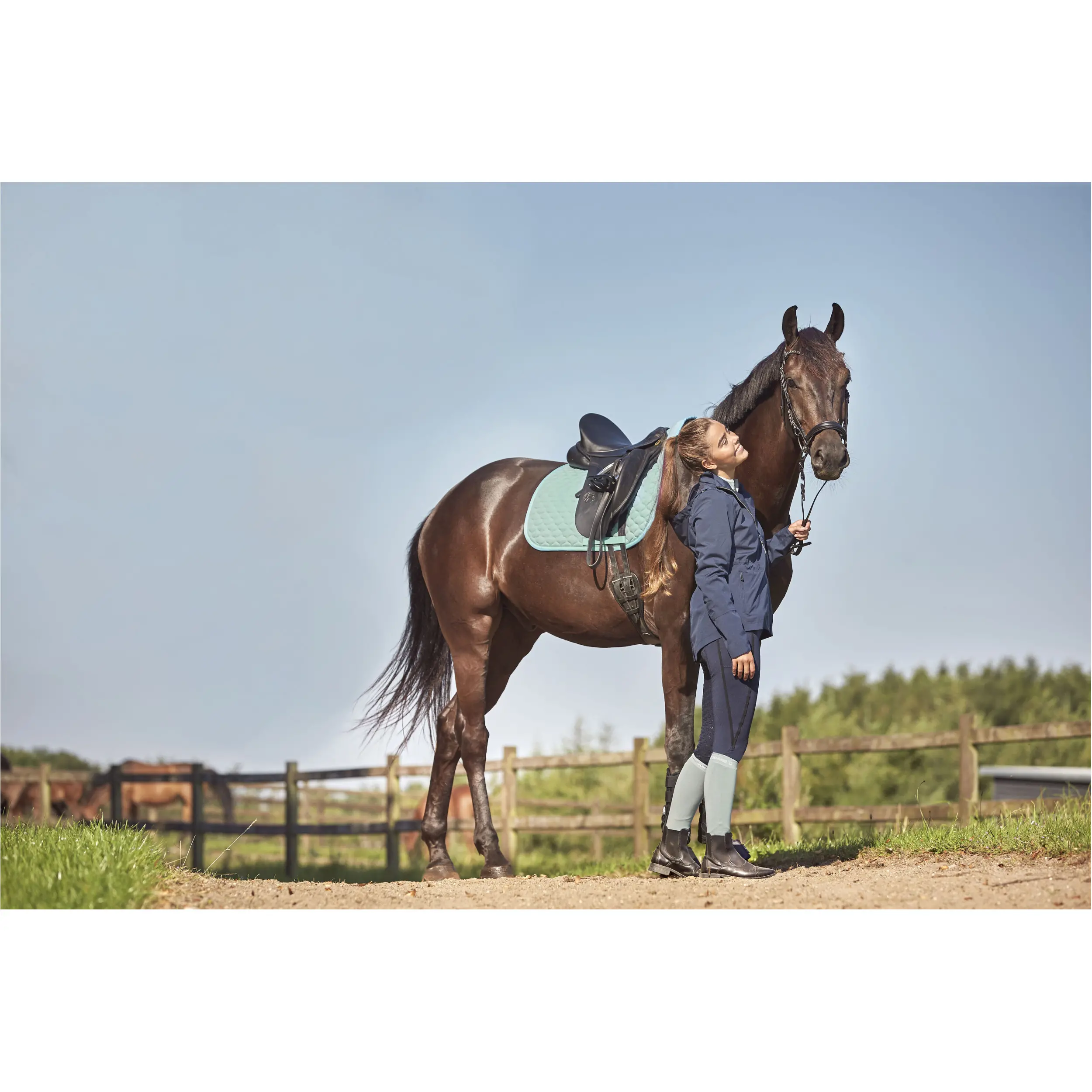 Damen Reitleggings Silikon Vollbesatz FINLEY navy