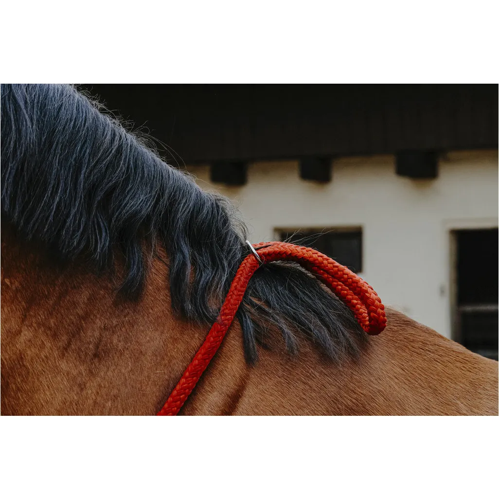 Ethologisches Halsband rot